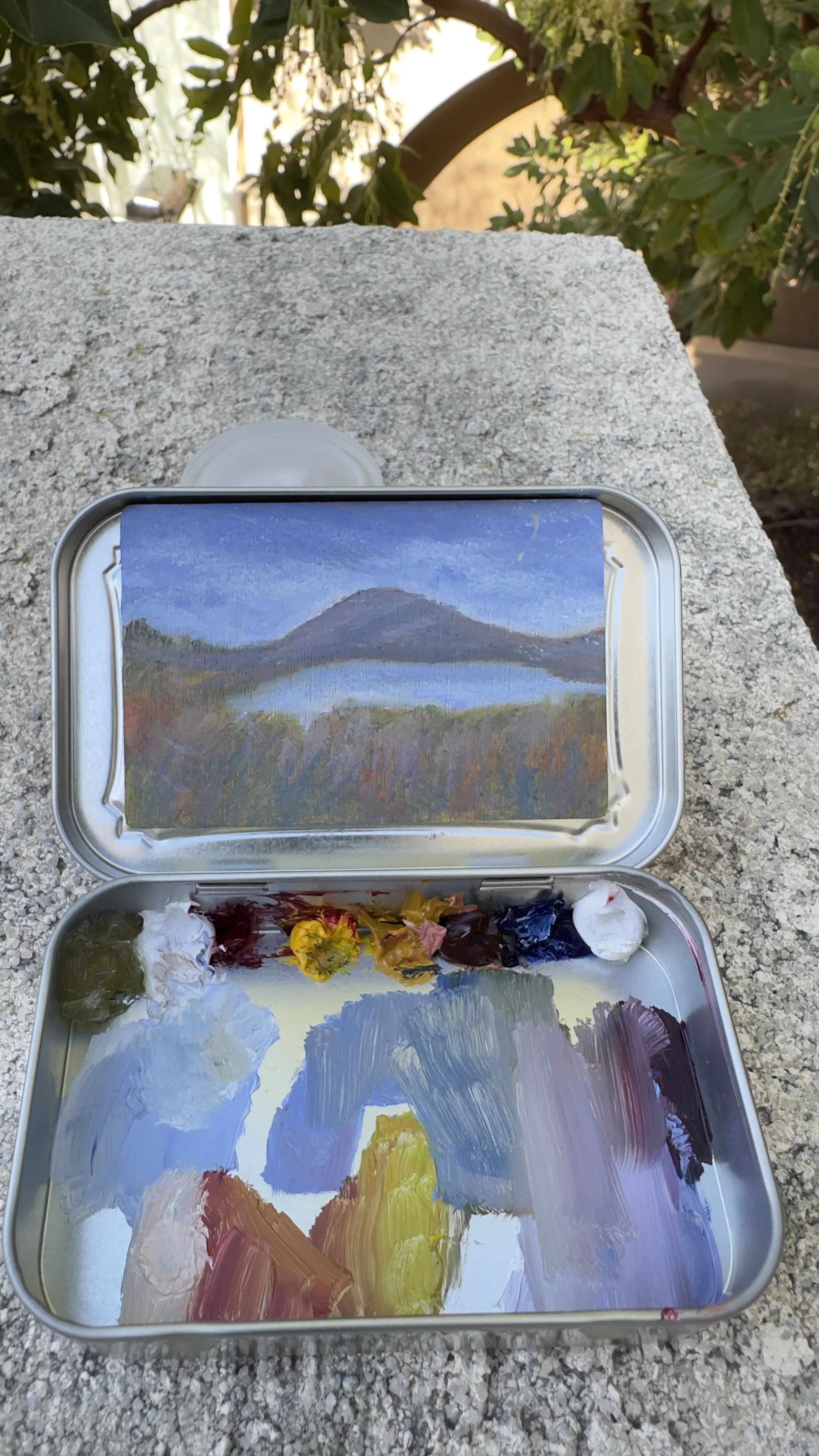 bataquitos lagoon april original plein air oil painting altoids tin california coast