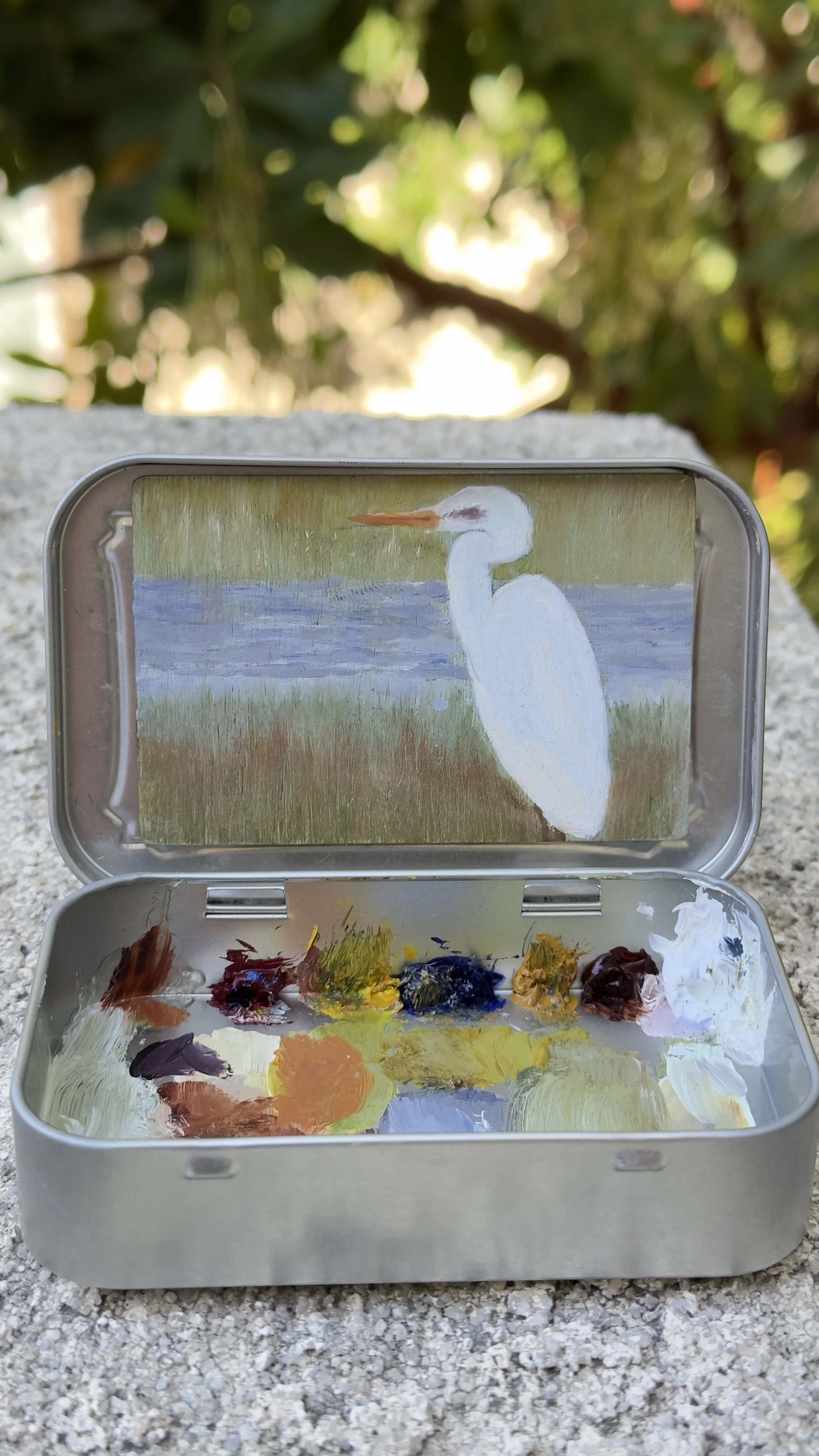 Thanksgiving Morning | Field Notes from San Elijo Lagoon