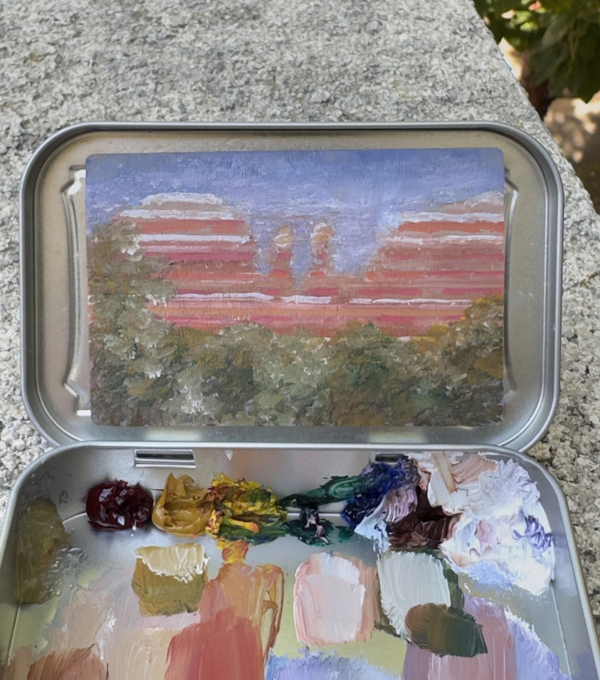 The Day She Got Married | Field Notes from Coconino National Forest