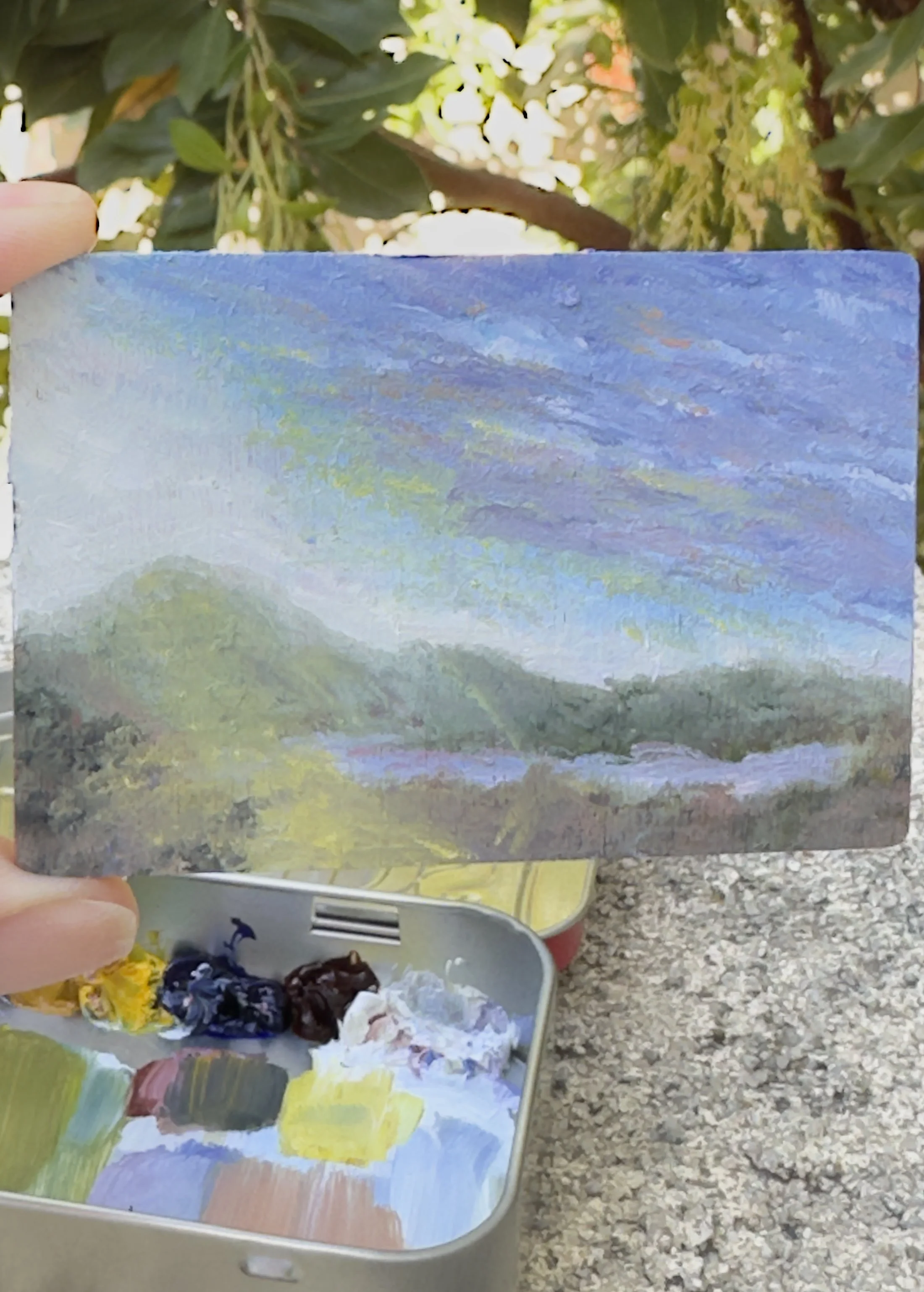 No Shade, No Problem | Field Notes from Bataquitos Lagoon