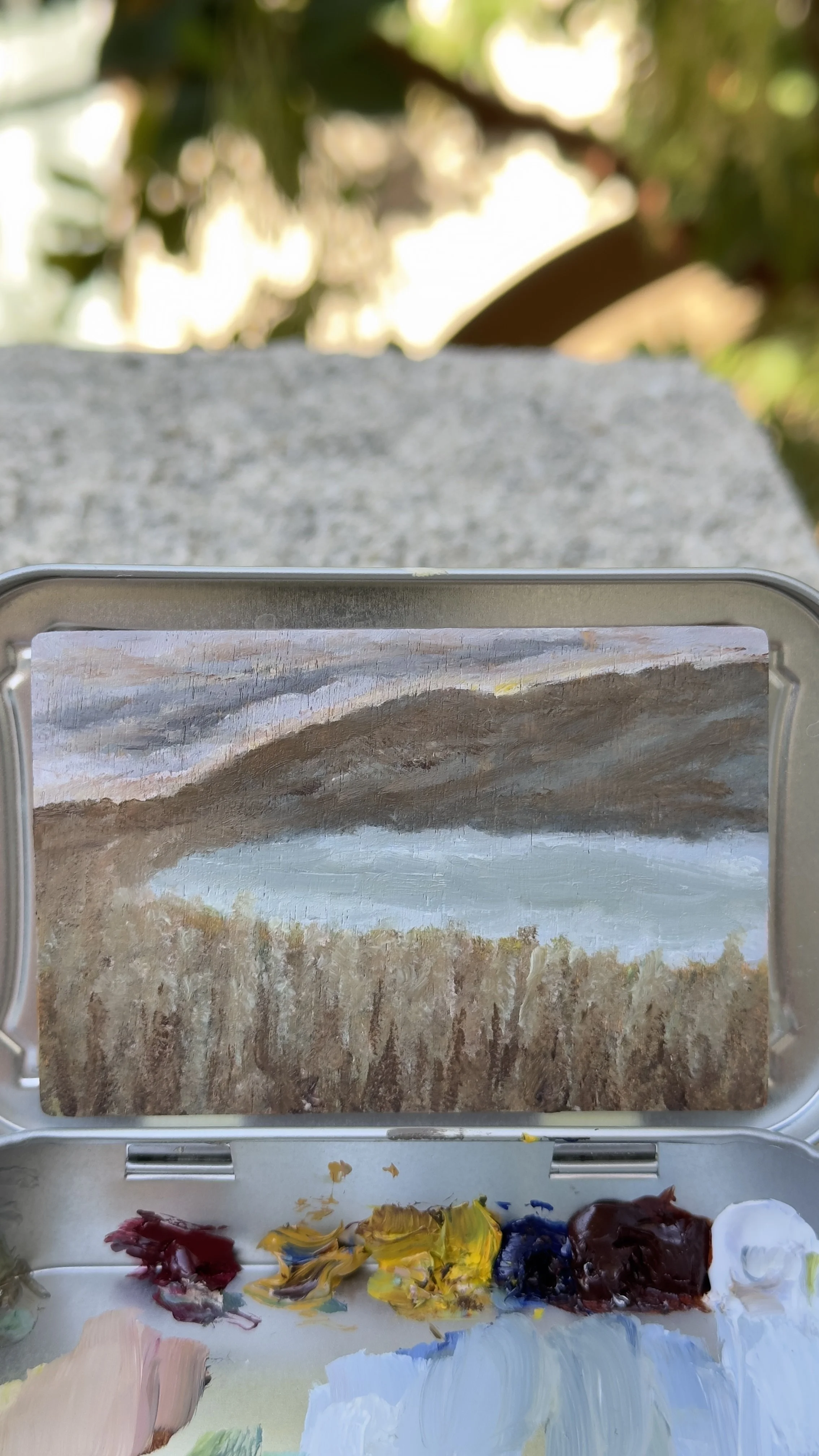 Before the Rain | Field Notes from Bataquitos Lagoon