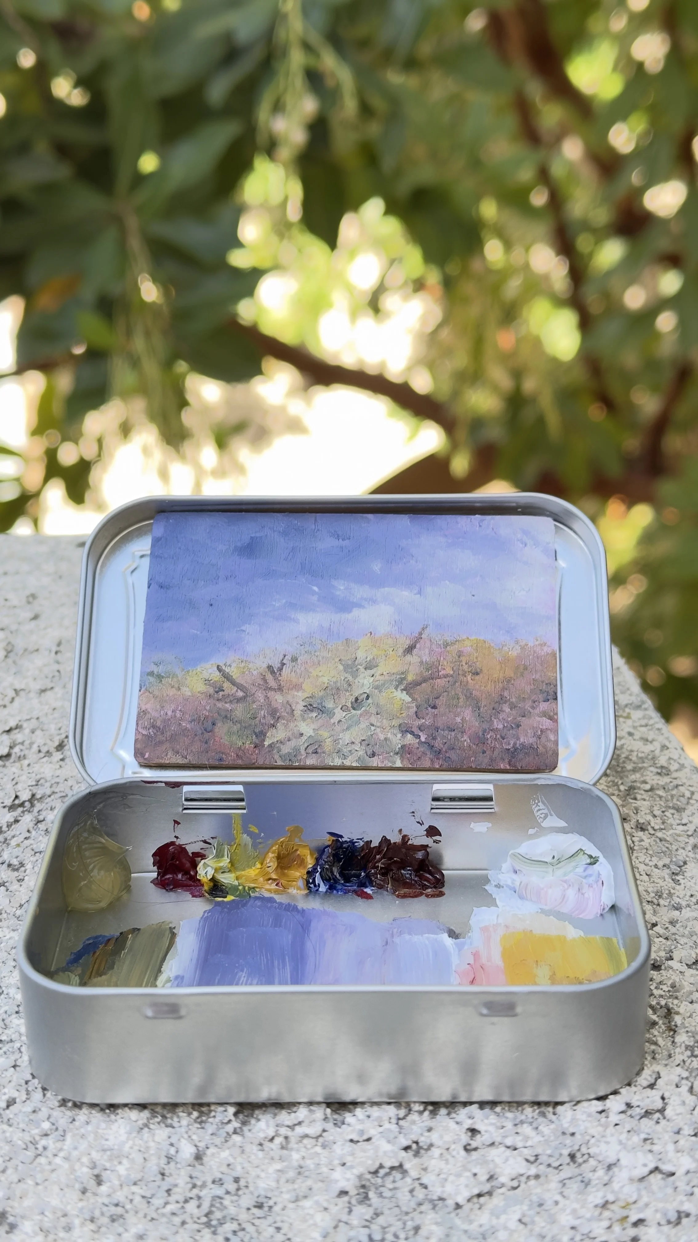 rabbits view bataquitos lagoon trail original plein air oil painting altoids tin california