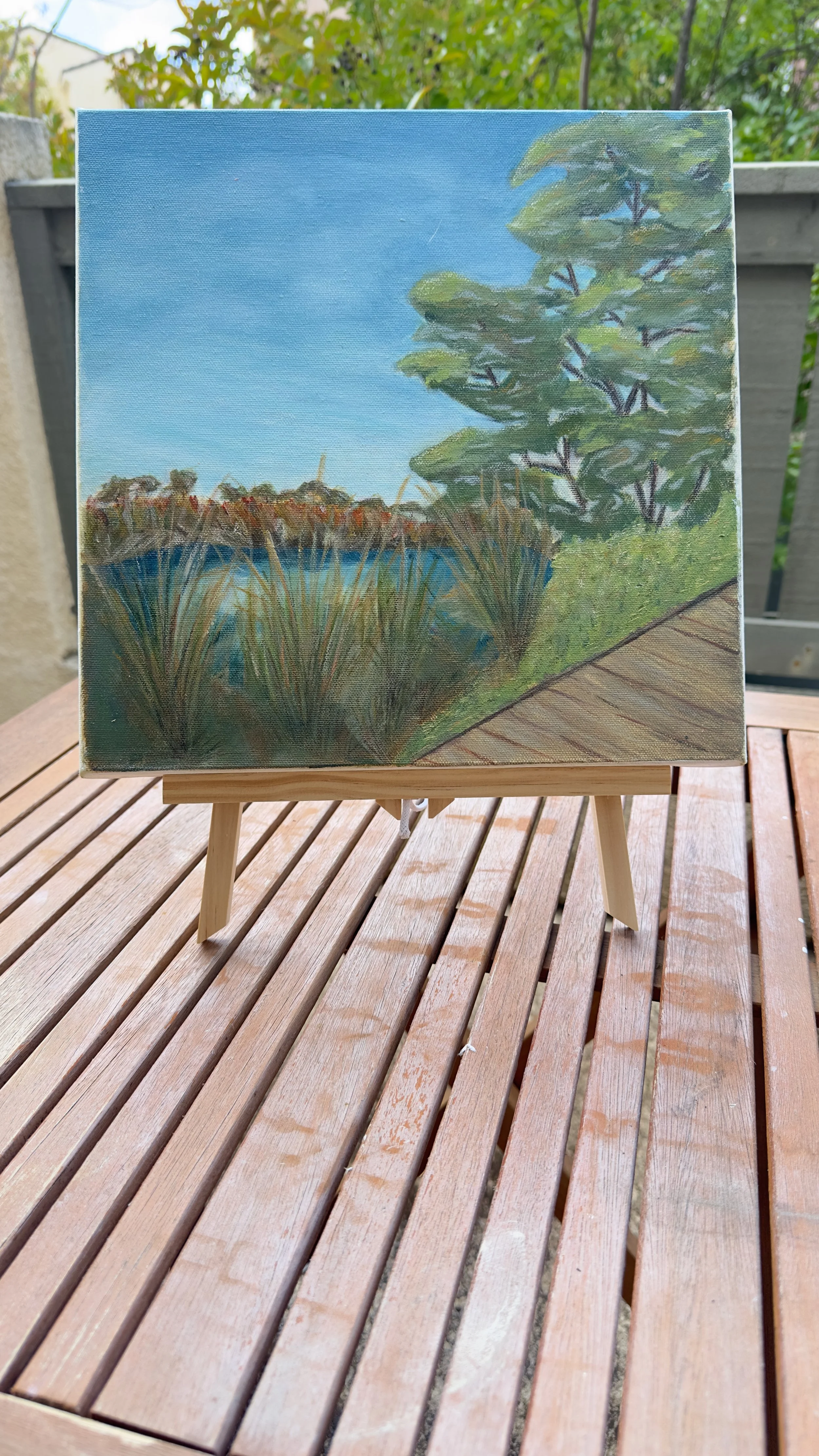 Original acrylic painting Buena Vista Audubon Nature Center lagoon marsh canvas dianalisa