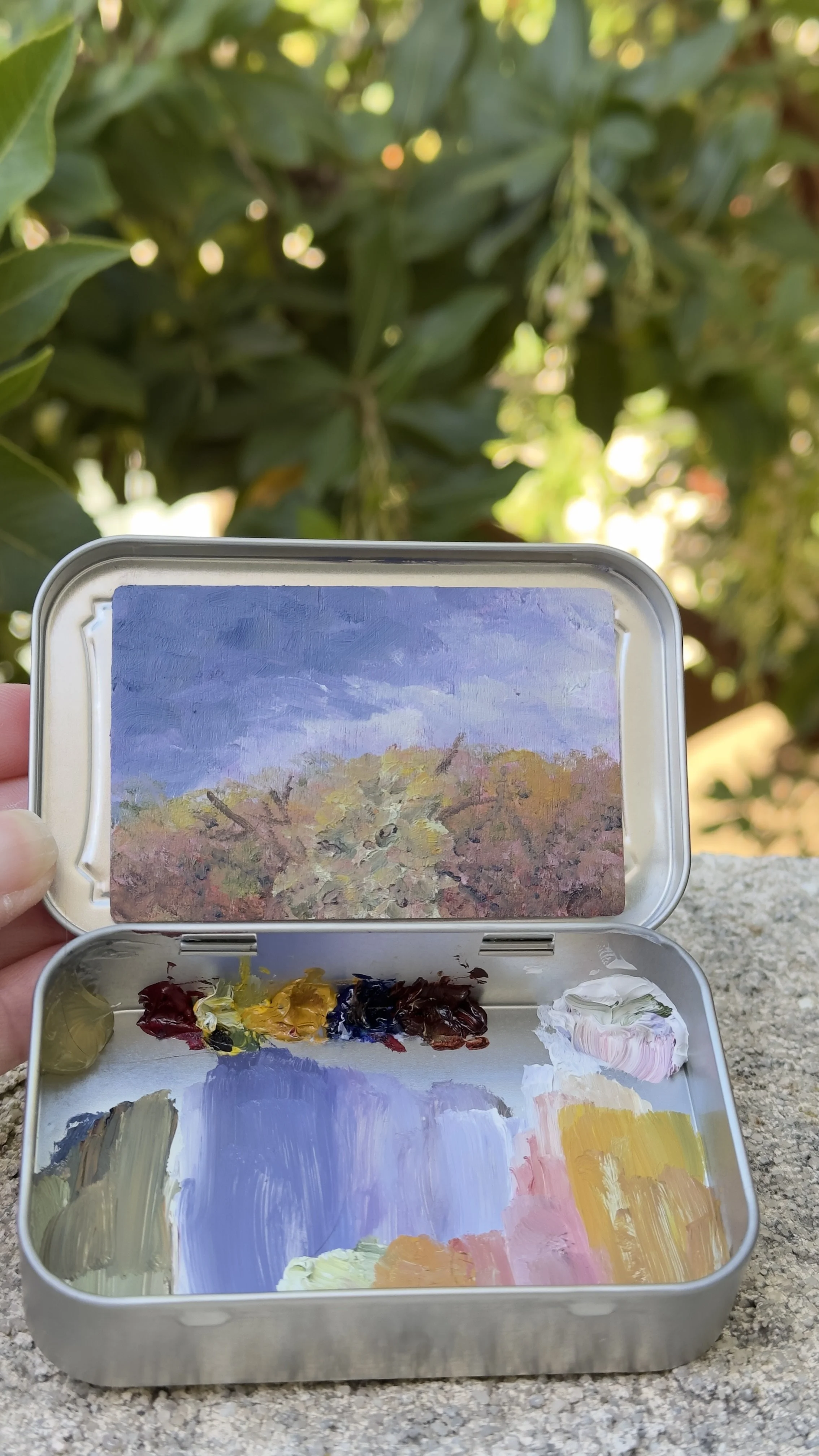 rabbits view bataquitos lagoon trail original plein air oil painting altoids tin california