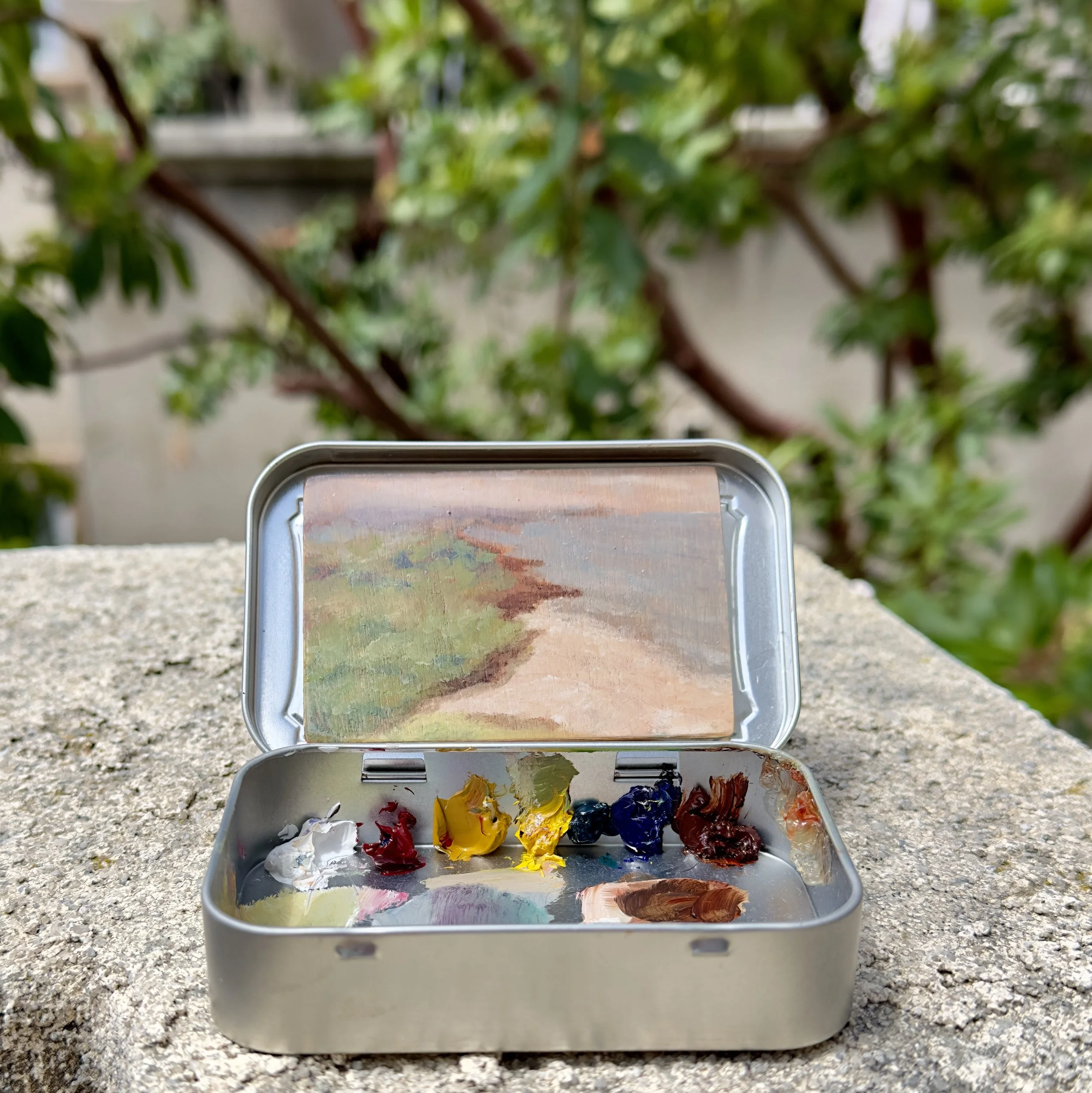 Original plein air oil painting Hawaii beach lava cliff Altoids tin series dianalisa