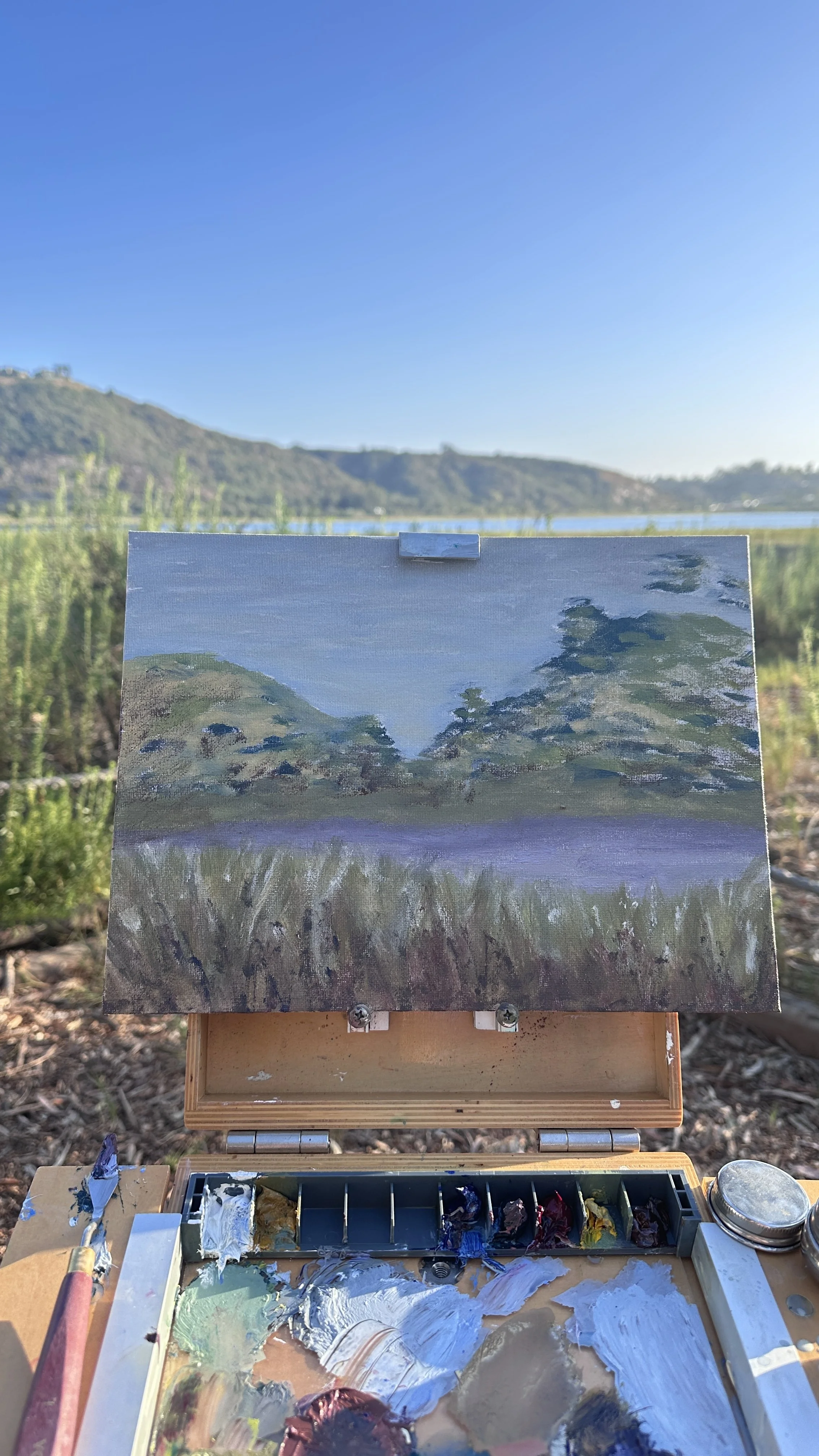 plein air oil painting california coast original artwork by diana lisa altoids tin series temecula ca