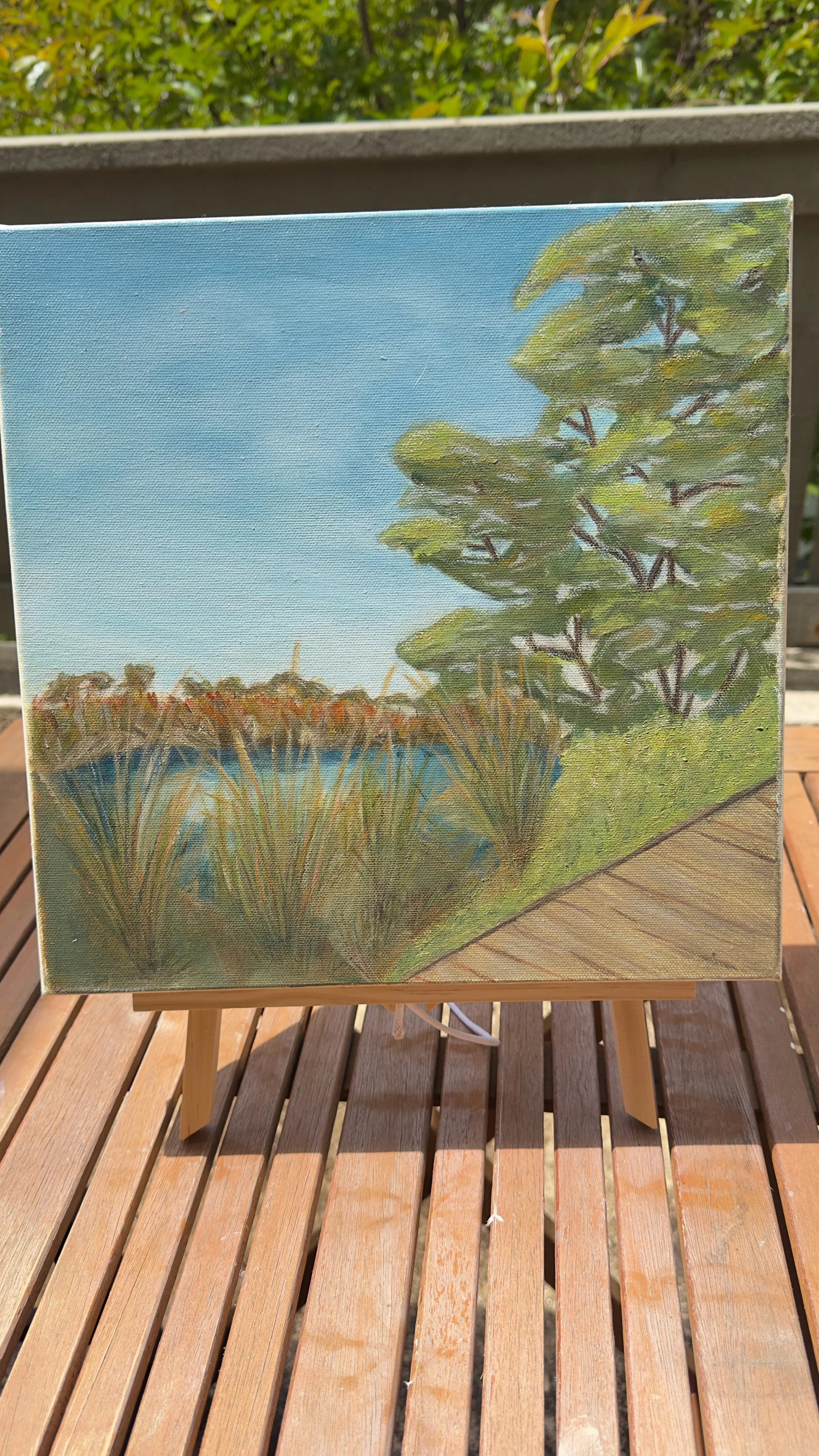 Original acrylic painting Buena Vista lagoon nature preserve canvas easel dianalisa