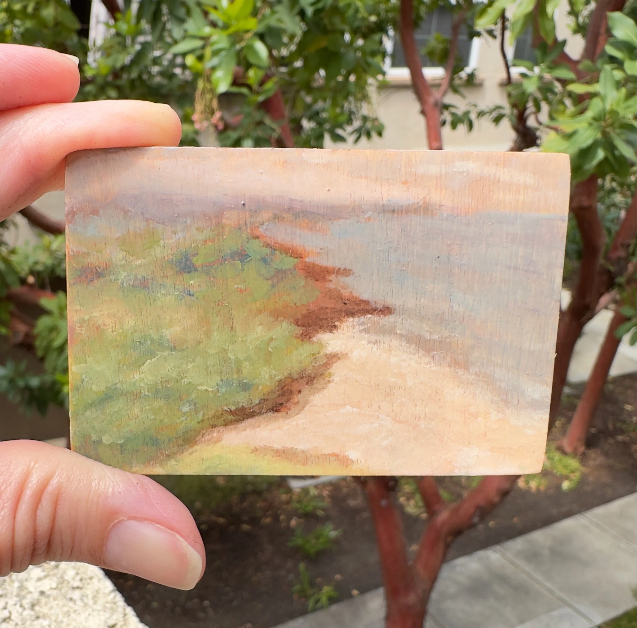 Original oil painting Hapuna Beach Hawaii Altoids tin palette plein air dianalisa