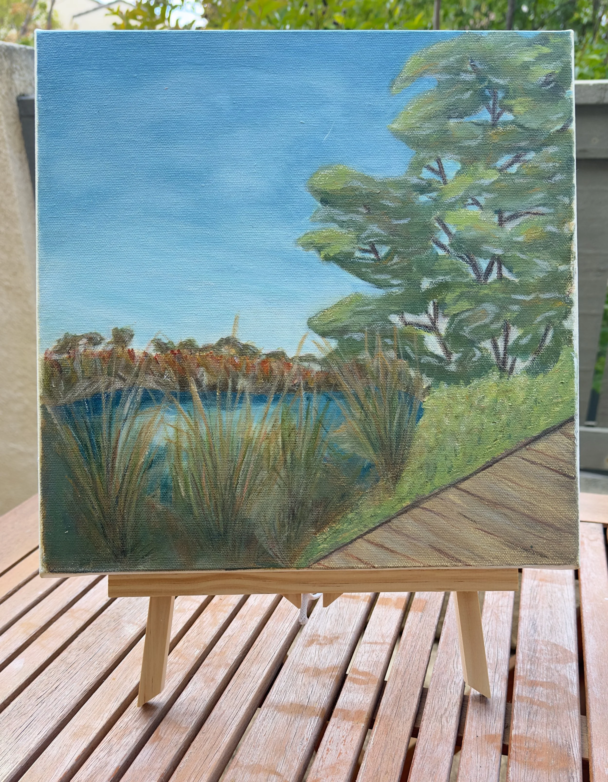 Original plein air acrylic painting Buena Vista Lagoon boardwalk marsh grasses canvas dianalisa