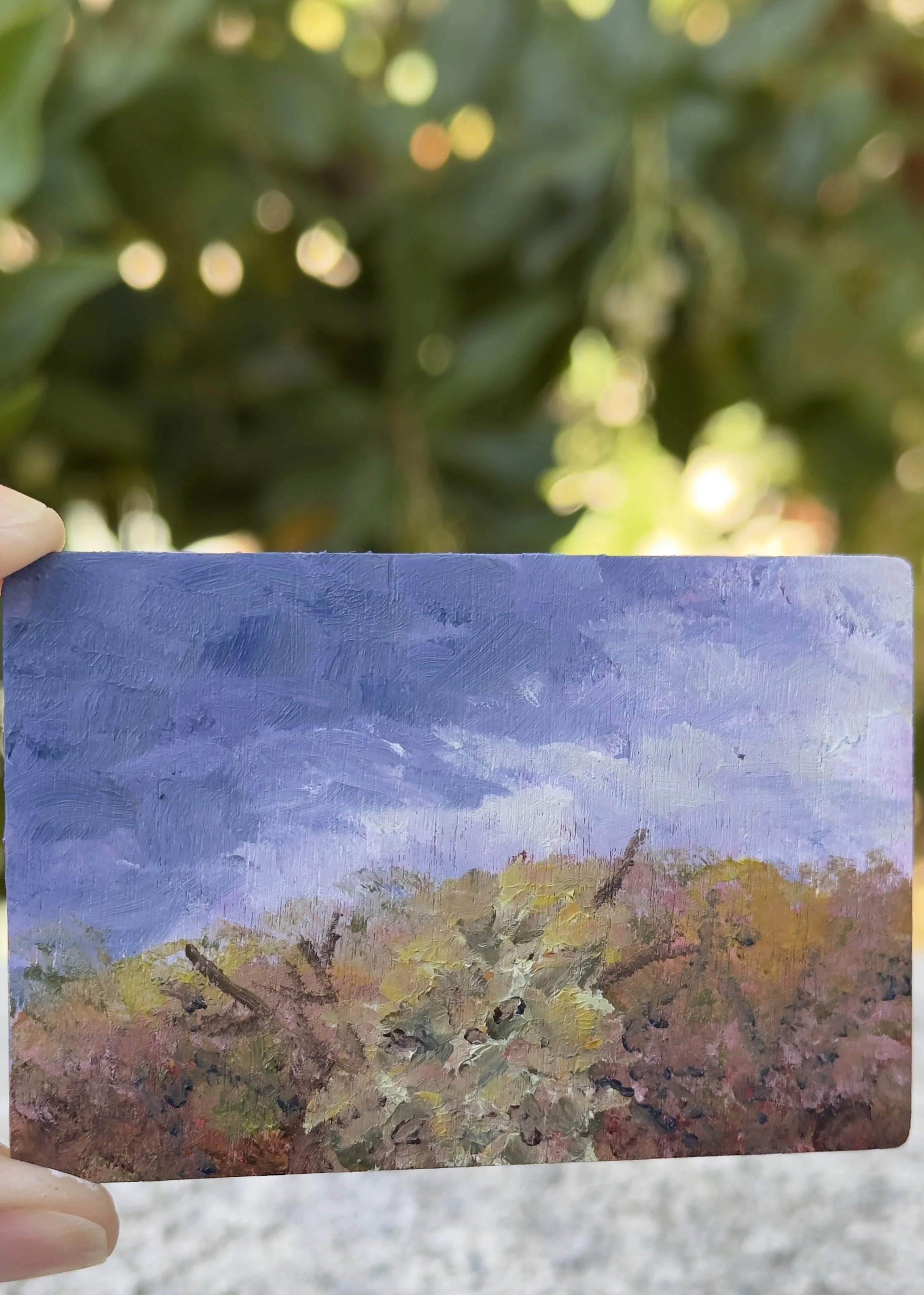 rabbits view bataquitos lagoon trail original plein air oil painting altoids tin california