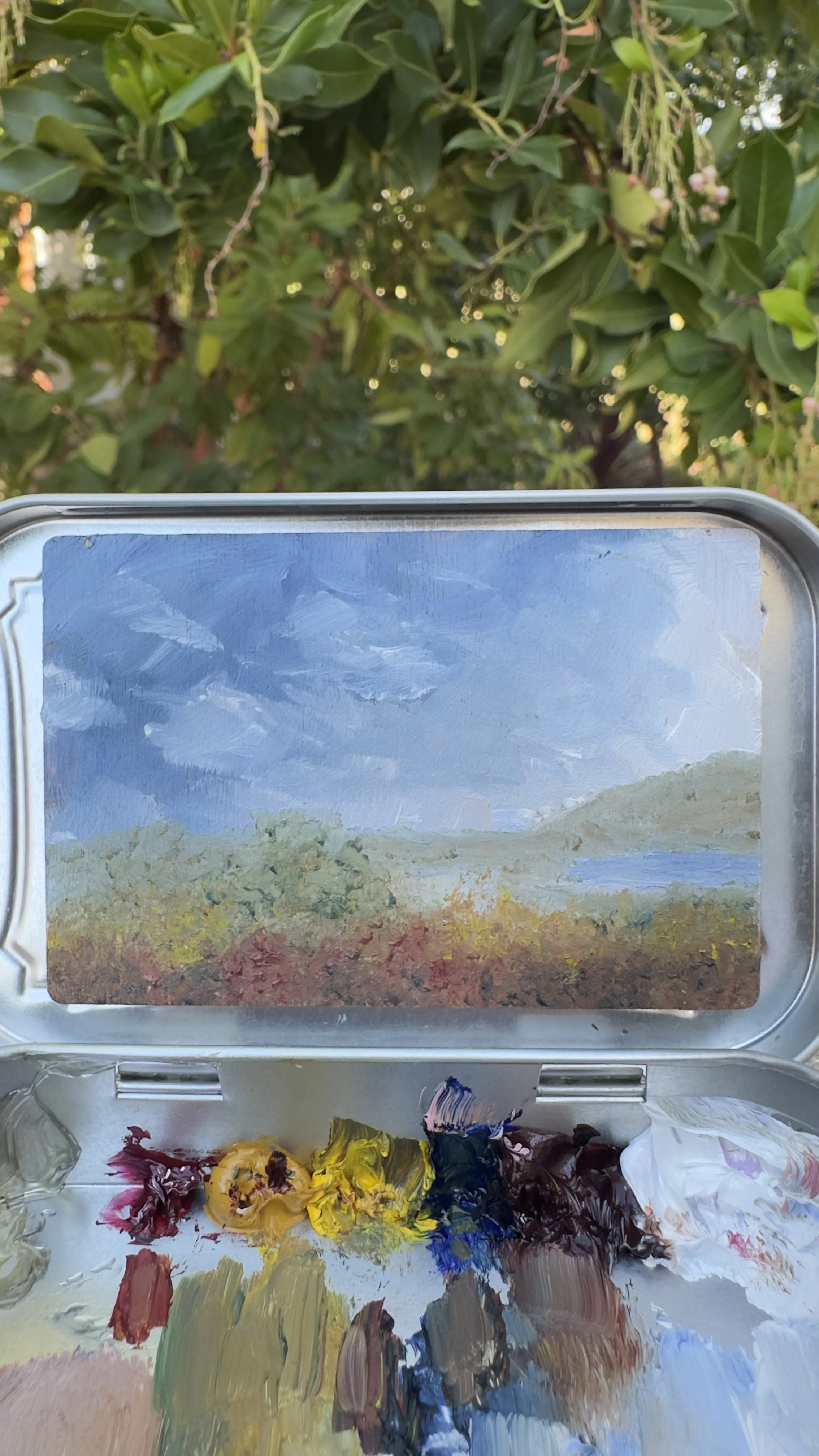 this day on repeat bataquitos lagoon original plein air oil painting altoids tin california coast