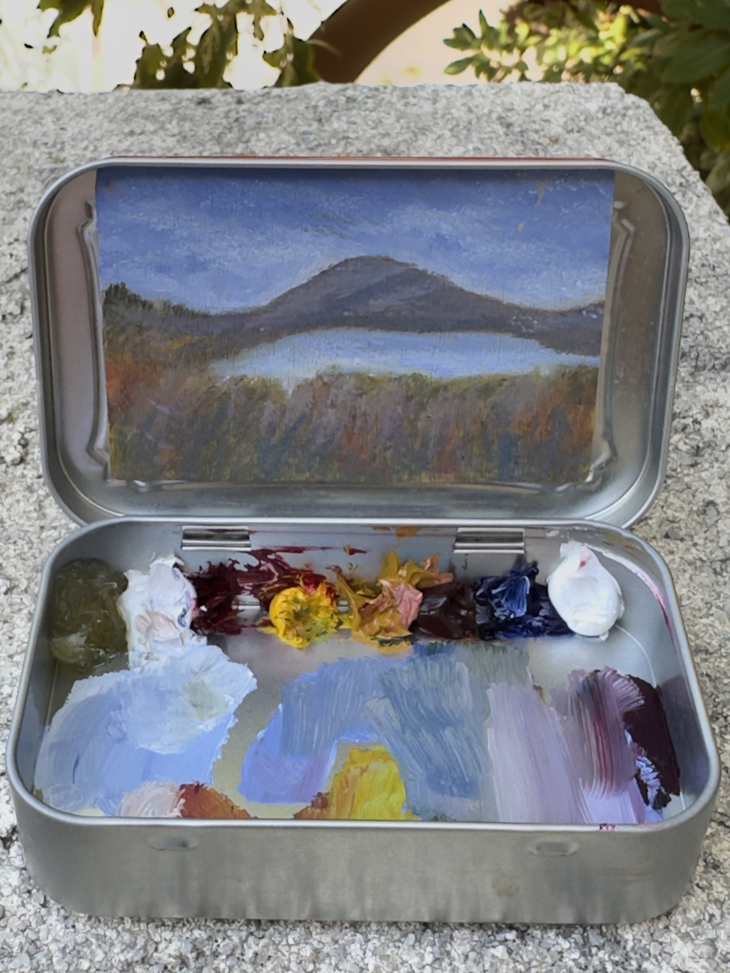 bataquitos lagoon april original plein air oil painting altoids tin california coast