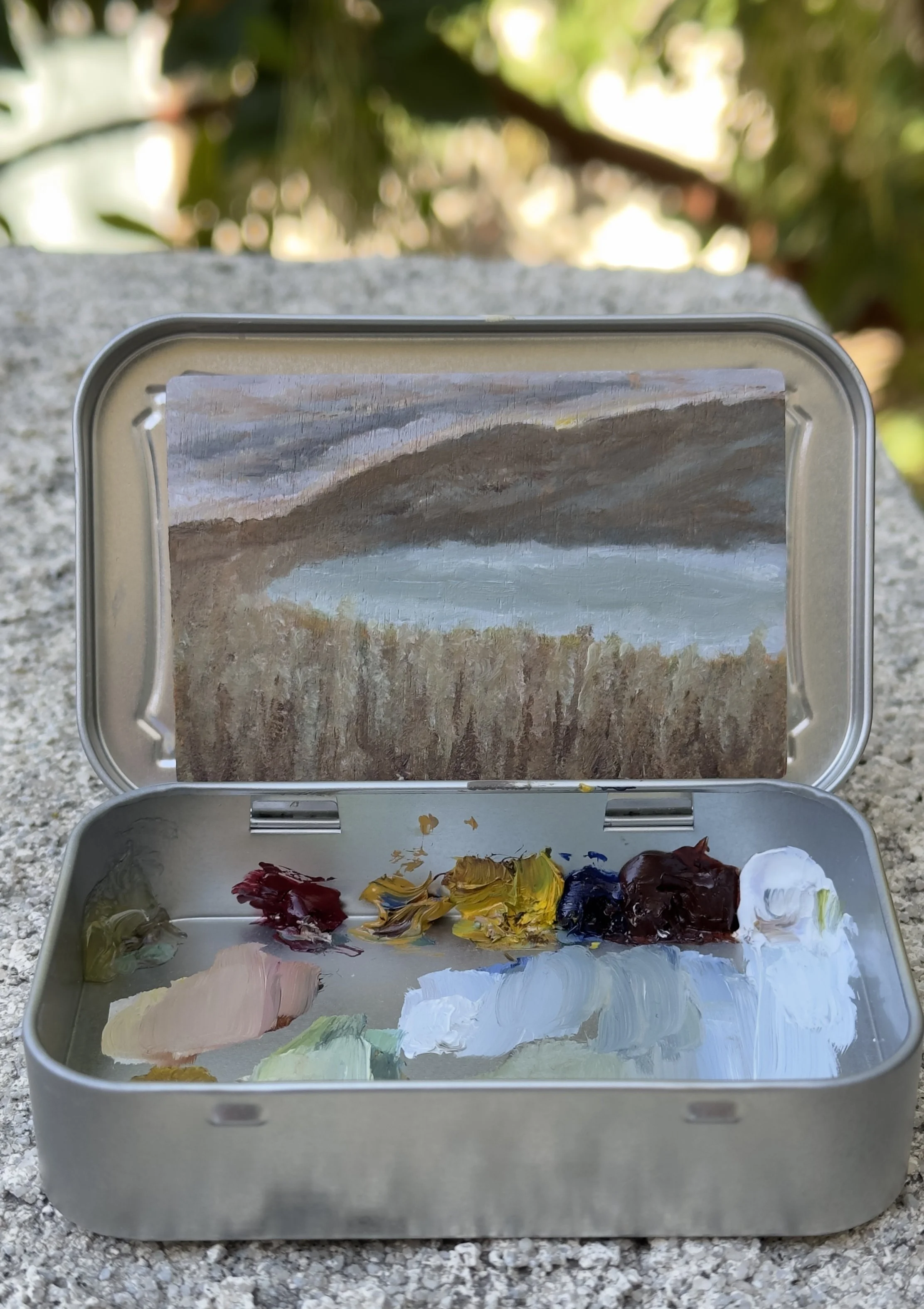 autumn morning original plein air oil painting altoids tin california