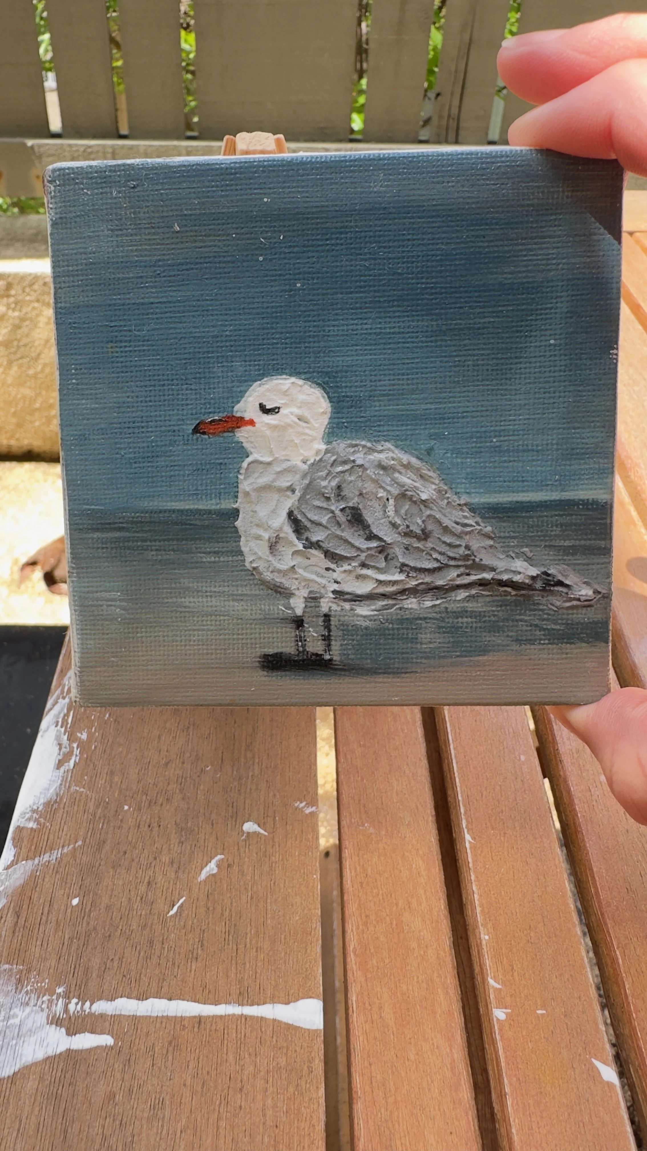 Original acrylic California Gull painting 4x4 canvas easel dianalisa