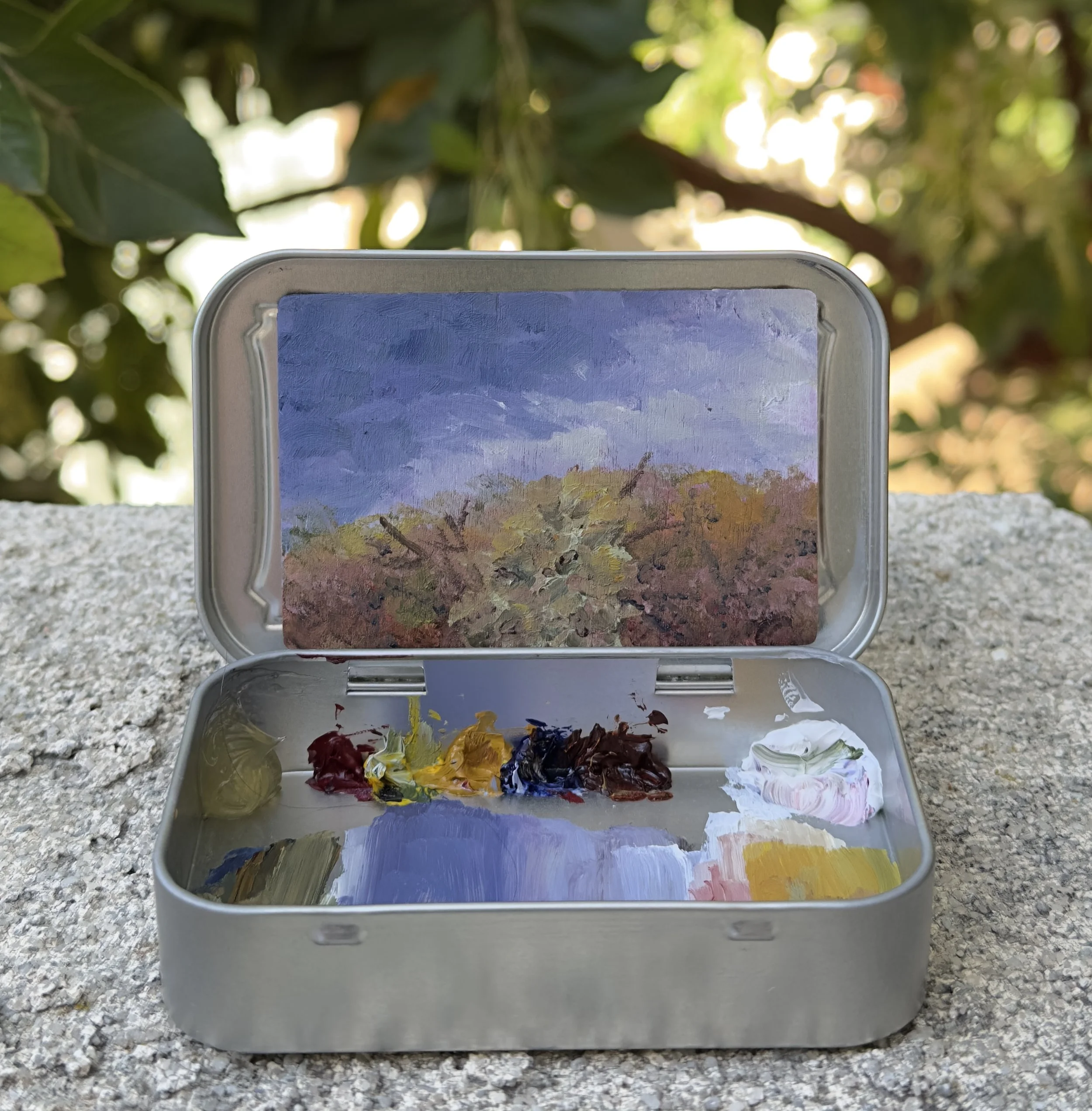rabbits view bataquitos lagoon trail original plein air oil painting altoids tin california