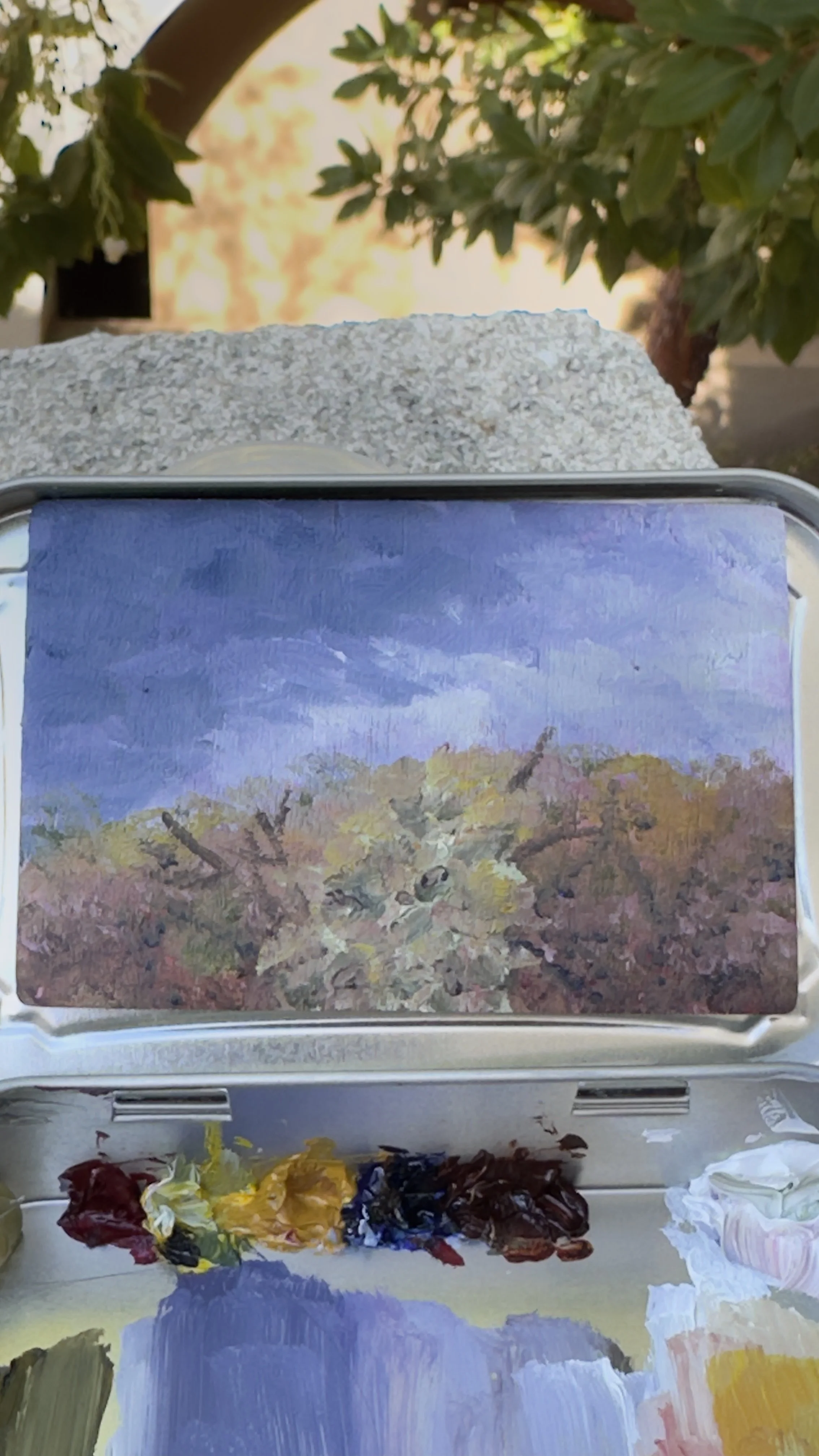 rabbits view bataquitos lagoon trail original plein air oil painting altoids tin california