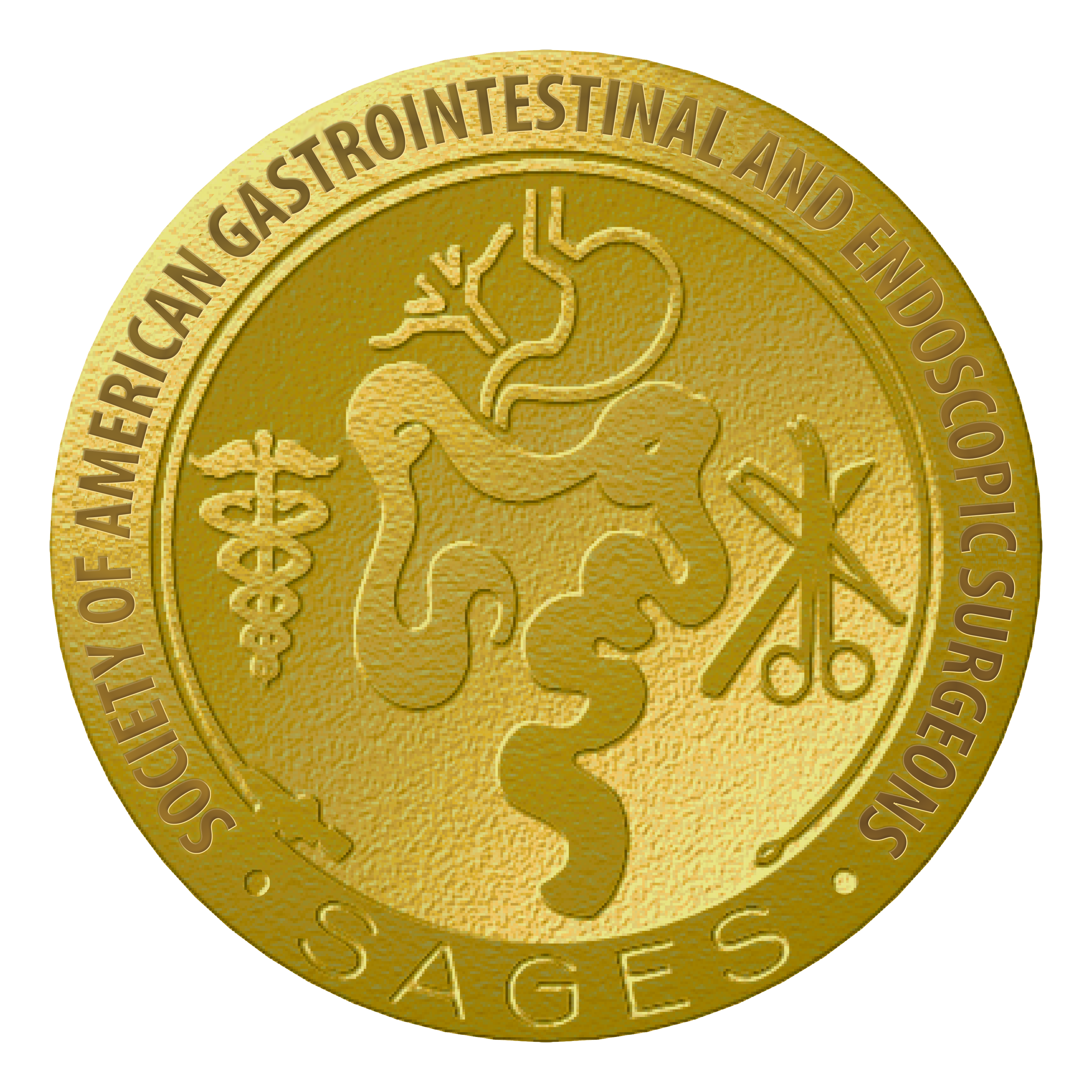 Close-up of a gold medal with embossed text along the top edge and a design of a bear and leaves in the center.