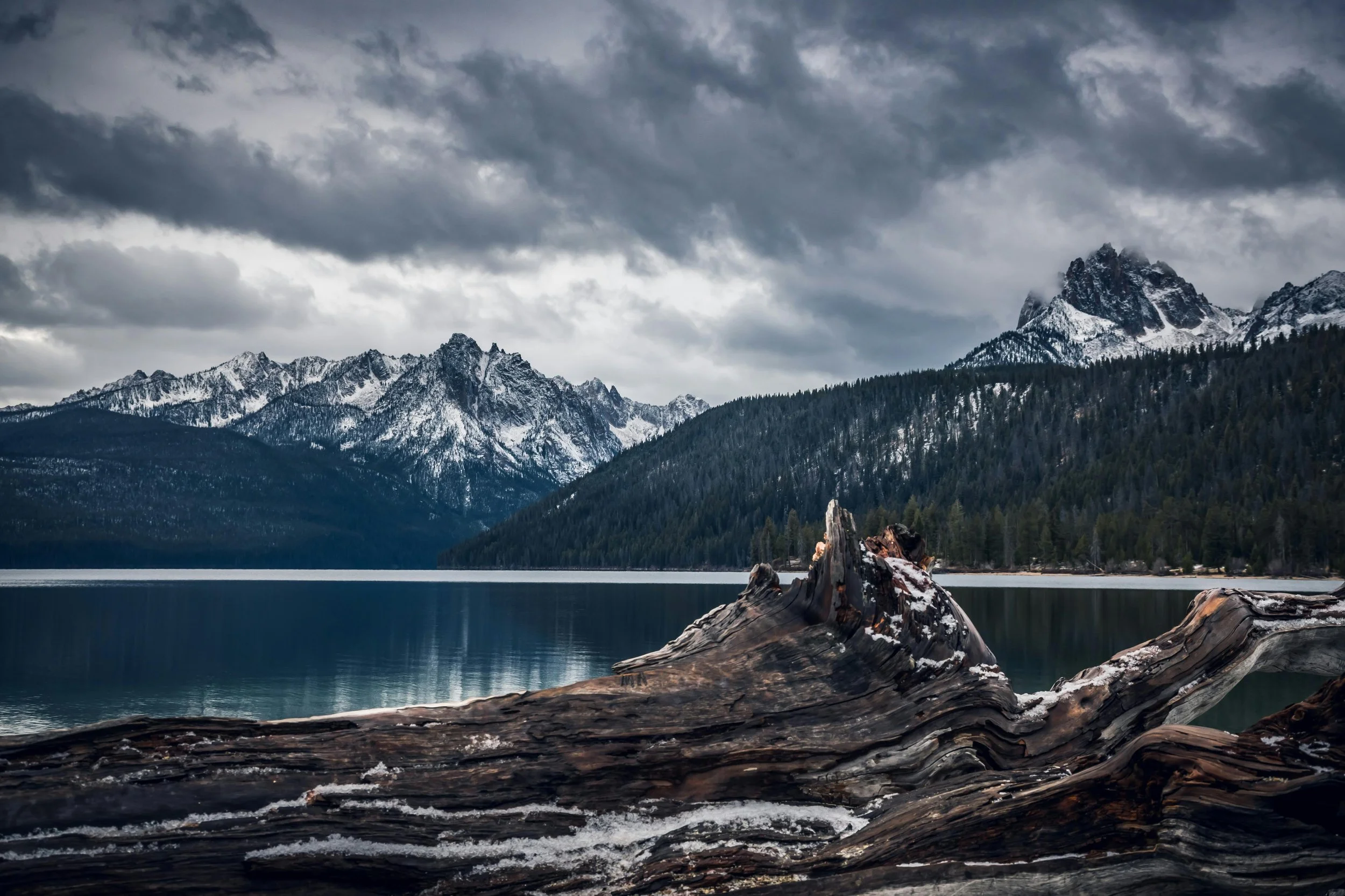Snow-capped mountains with dark clouds overhead, a body of water in the foreground, and large driftwood logs along the shore.