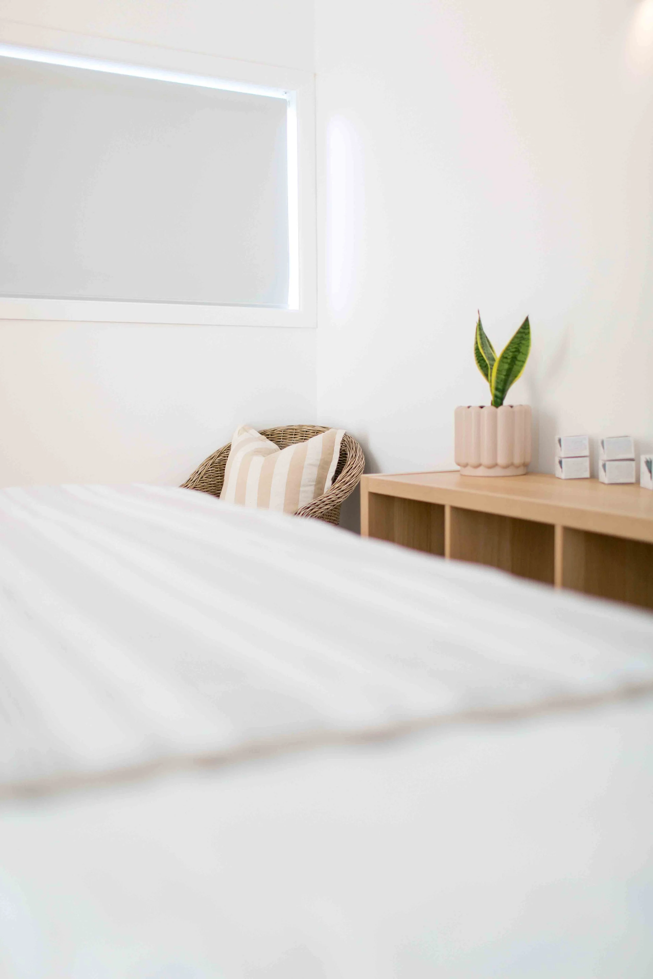 Minimalist interior with a white bed, a rattan chair with a beige, striped pillow, a wooden shelf with a potted snake plant, and a window with white blinds.