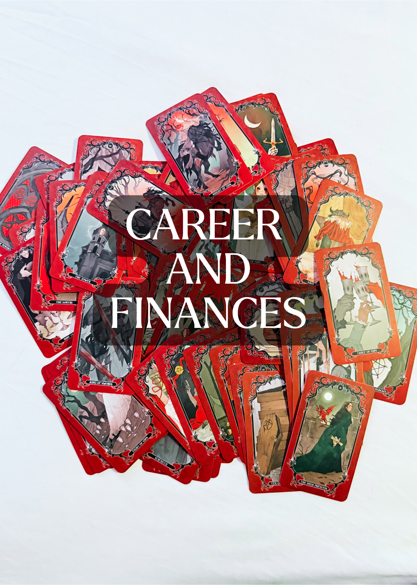 Career and Finances