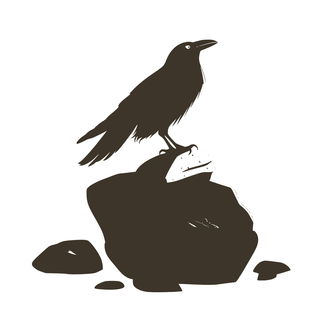 an image of a raven on a rock