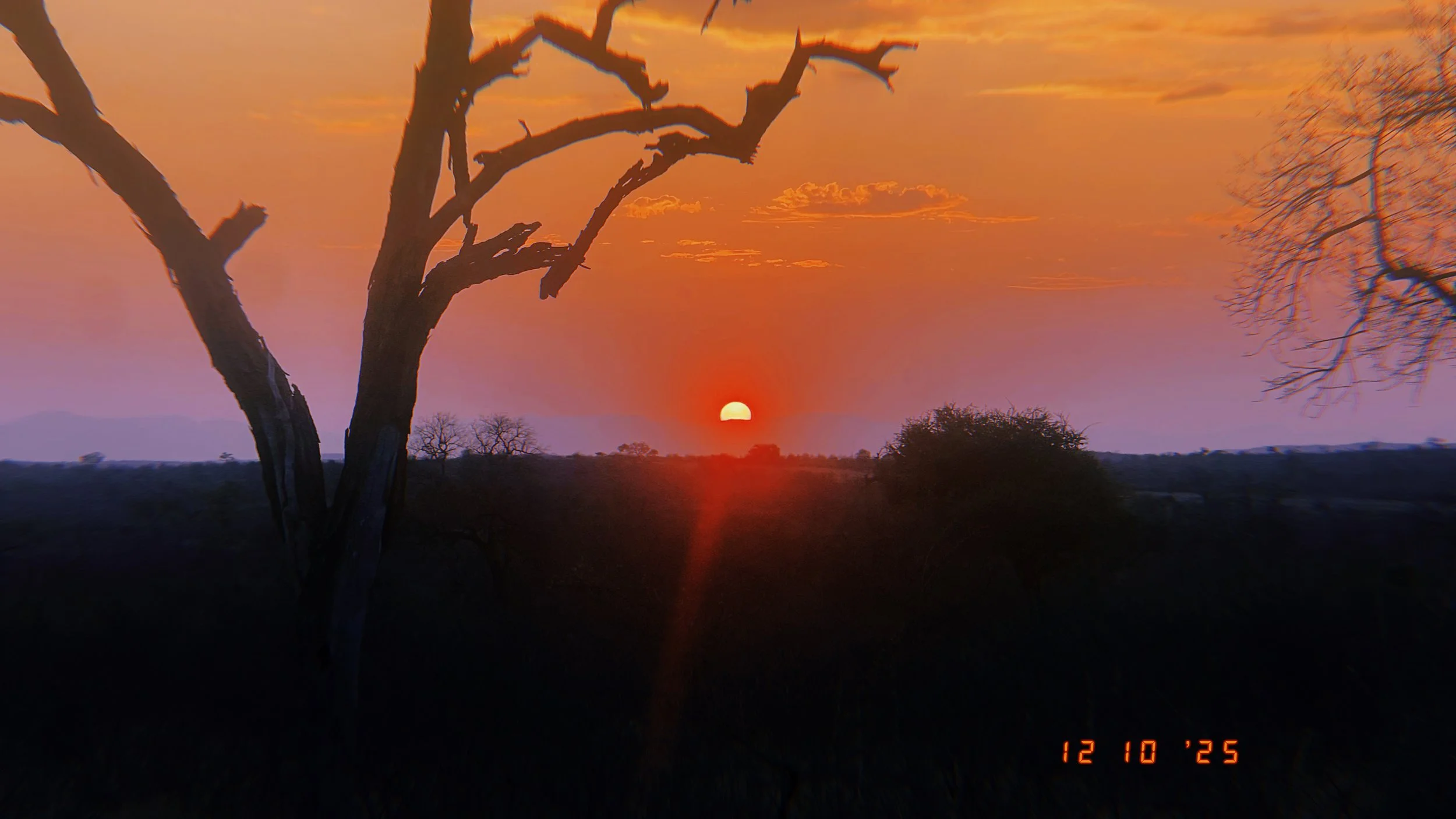 Five days in the Limpopo bush