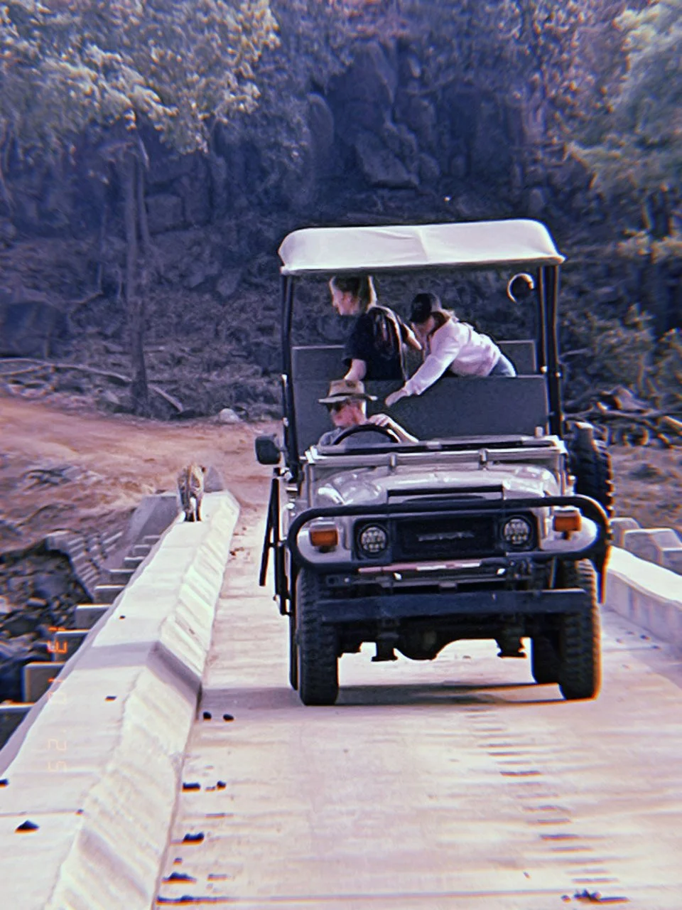 A white Land Cruiser driving on a small wooden bridge with three people, two women and one man, in a forested area.