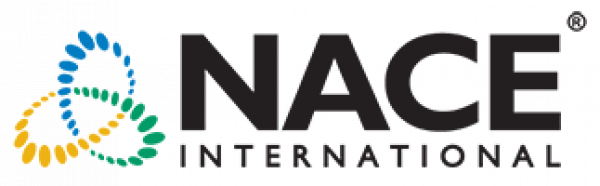 NACE accredited inspector assessing protective coating systems on steel infrastructure in Perth WA