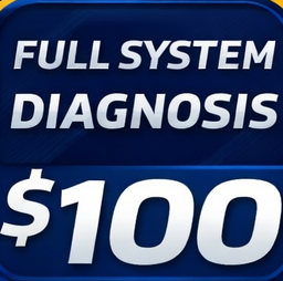 Full System Diagnosis