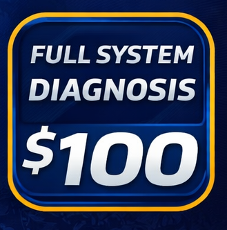 Full System Diagnosis