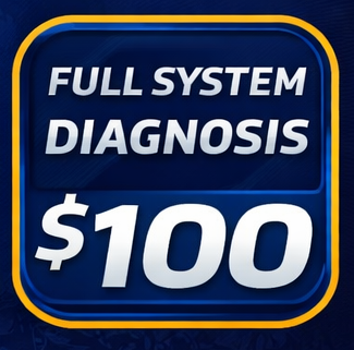 Full System Diagnosis