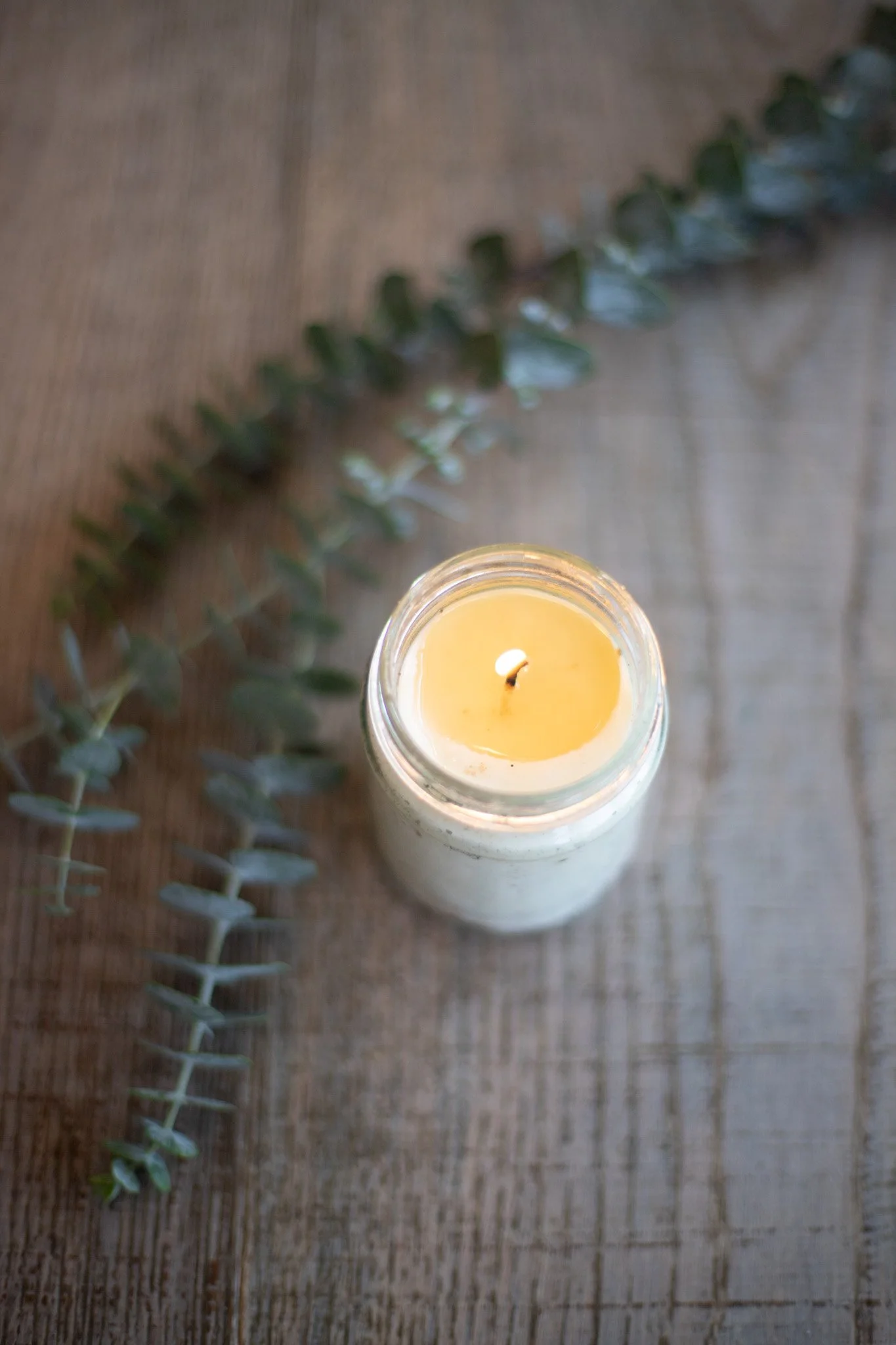 A lit candle placed on a wooden table with a few branches of Eucalyptus.