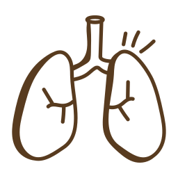 Lungs icon