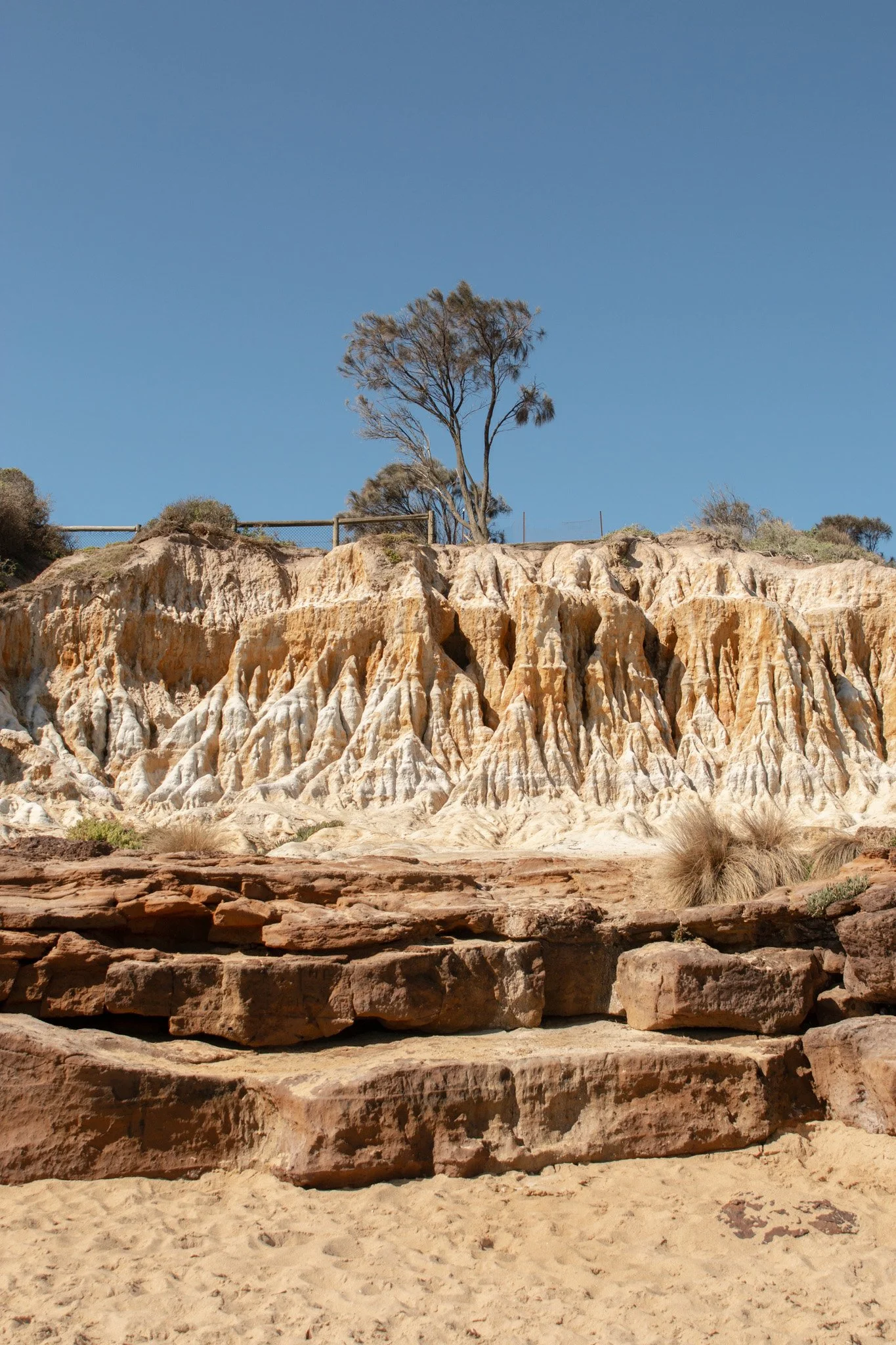 Font-view of a beach cliff. On the top of the cliff there are a few trees and bushes and a blue sky.