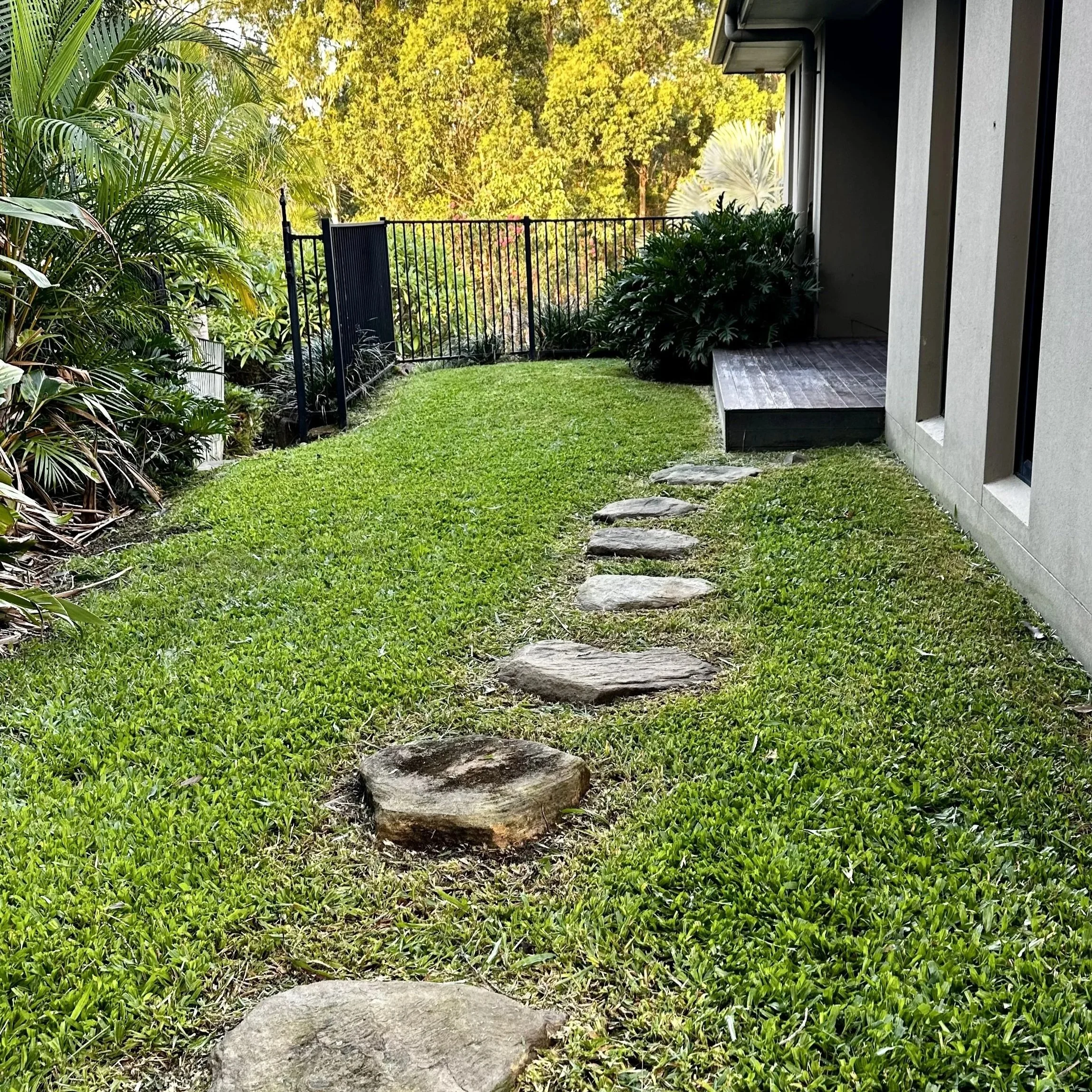 A stone pathway leading to a black metal gate in a lush backyard with green grass, shrubs, and trees.