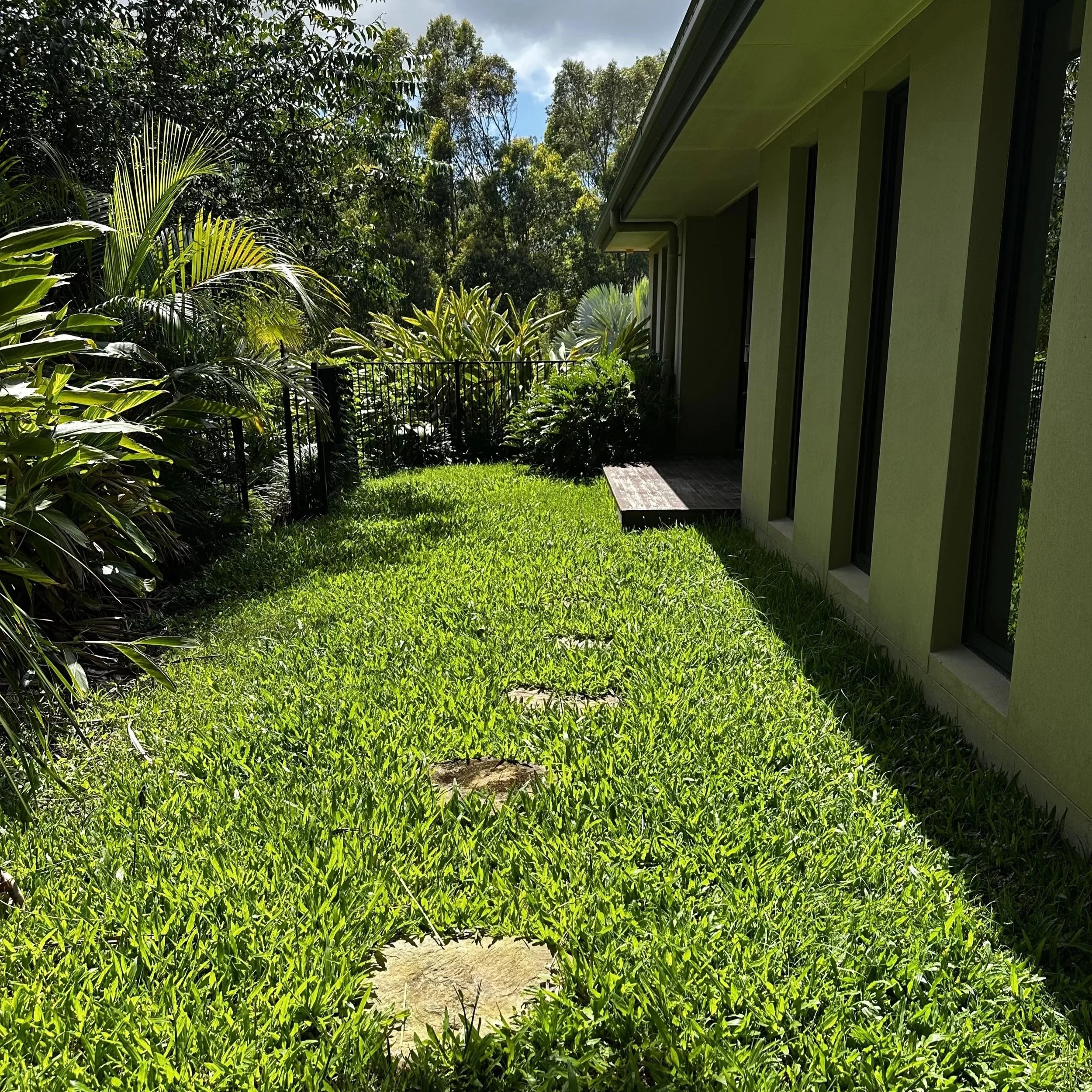 Side yard of a house with green grass, lush plants, and trees, with a black metal fence and windows on the house's exterior wall.
