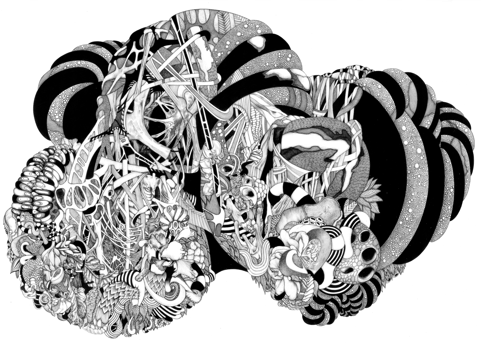 Screenshot 2026-03-02 at 4.41.36 pm.png