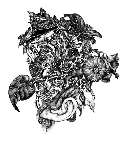 nature study copy.jpg