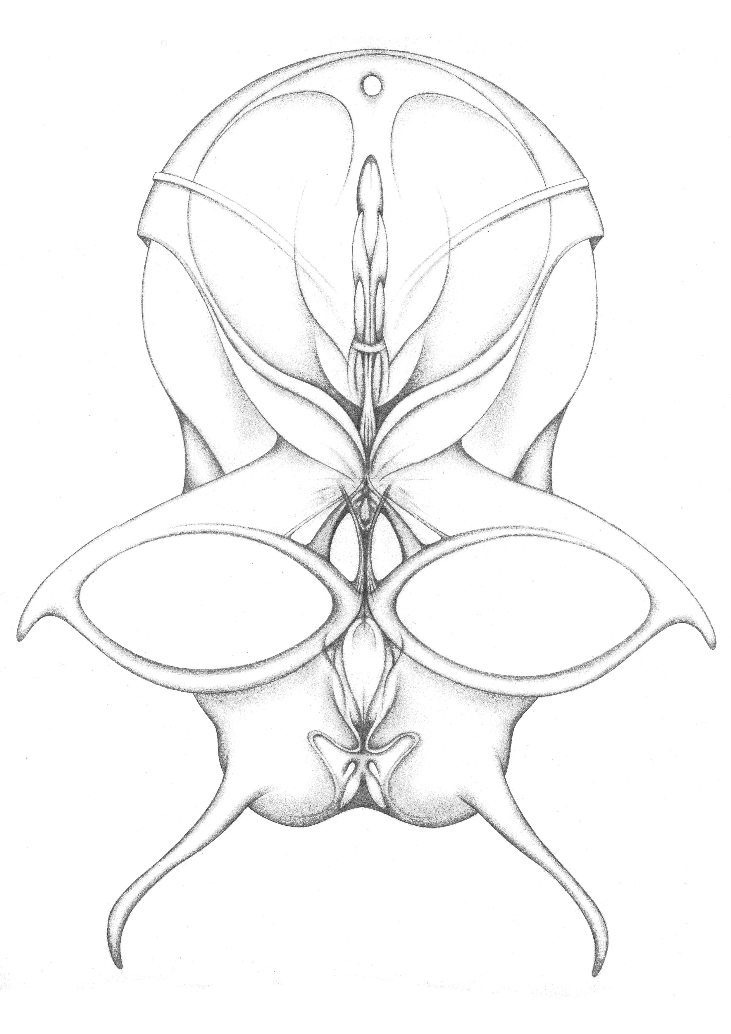 image 1.jpg