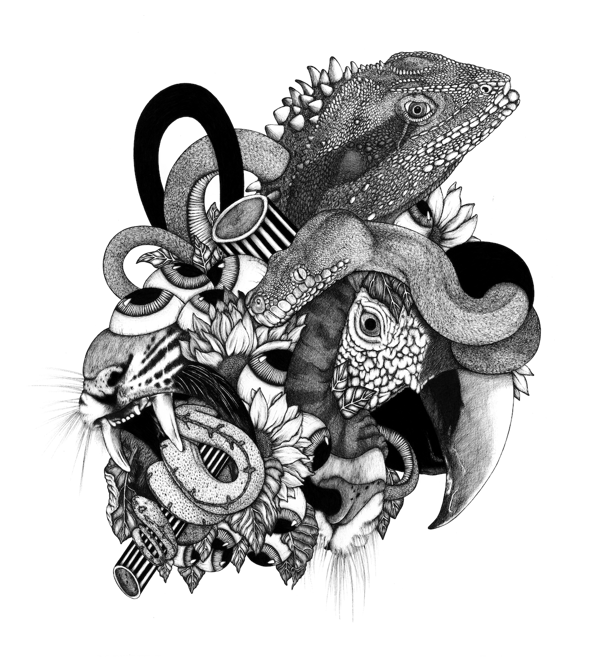 Screenshot 2026-03-02 at 4.41.12 pm.png