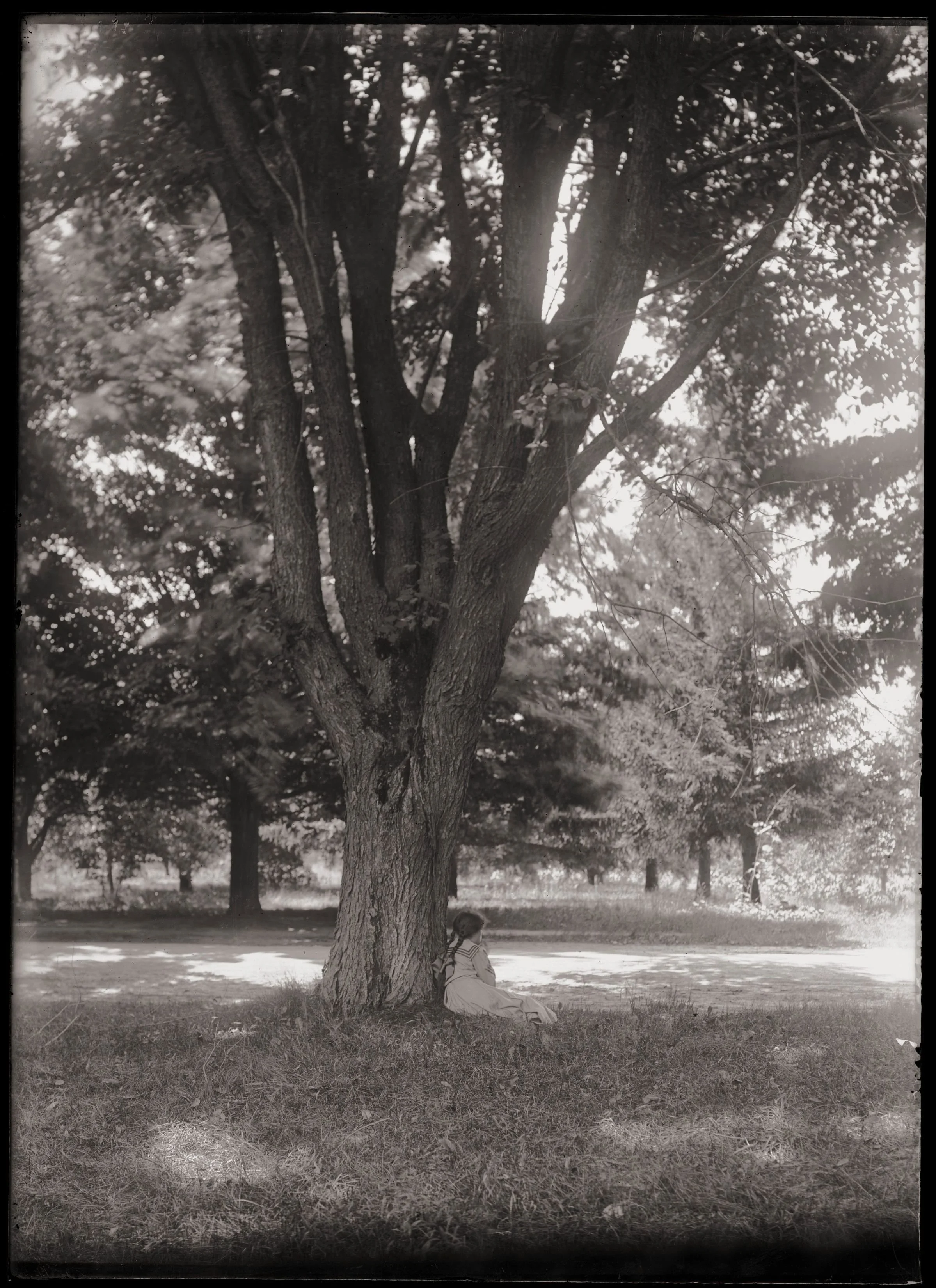 Black-and-white photograph of the trunk of a tree, which branches into several main limbs reaching above frame. By the tree's base, a young girl is seated, leaning against the trunk and facing away from the camera, across a road, into an orchard.
