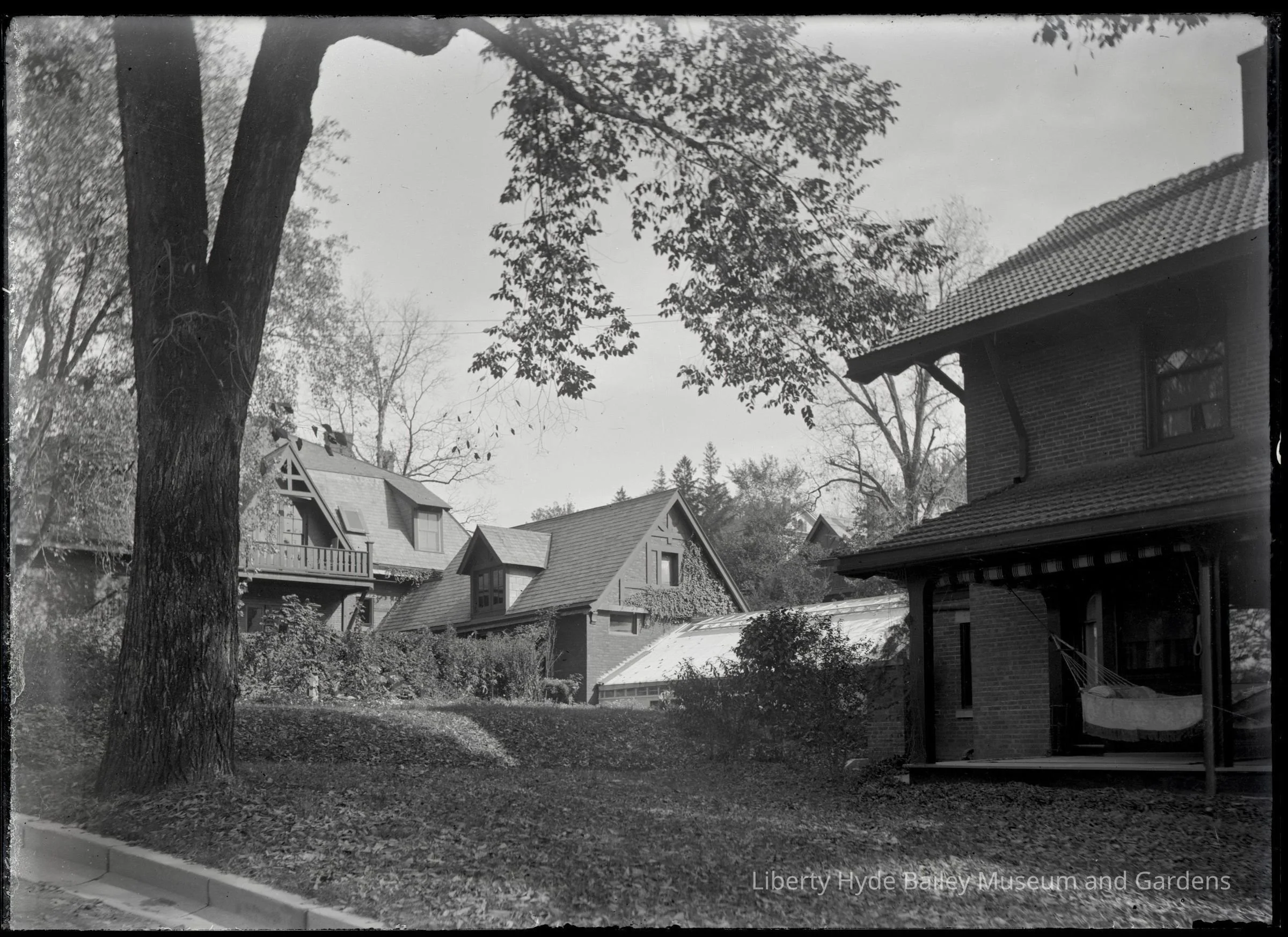 Historic view of the Liberty Hyde Bailey complex on Sage Place in Ithaca, NY, featuring the Bailey house, greenhouse, stable-turned-office, and carriage house turned herbarium. Photo taken by Bailey in the early 20th century.