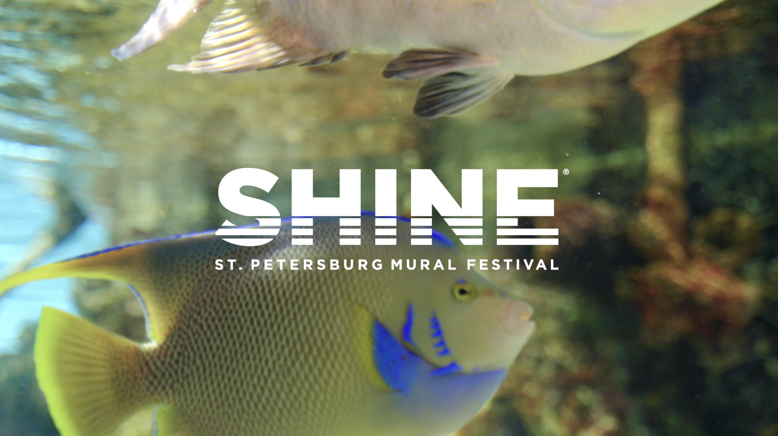 Screenshot 2025-07-03 at 2.33.59 PM.png