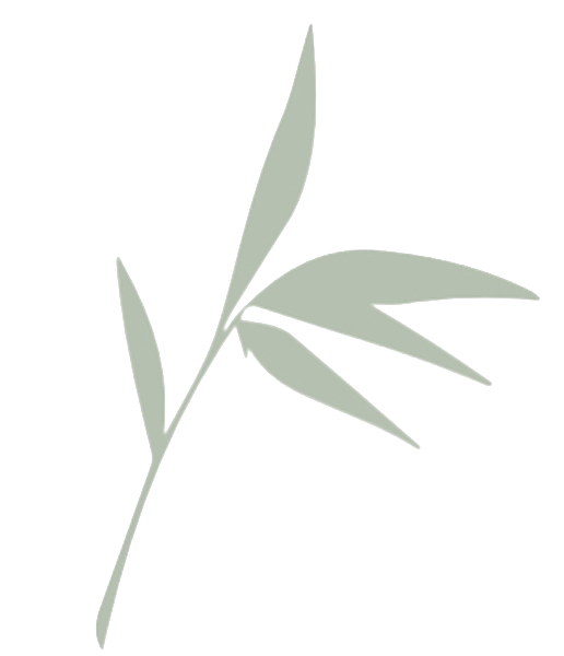 A simple illustration of a light green leafy plant branch on a black background.