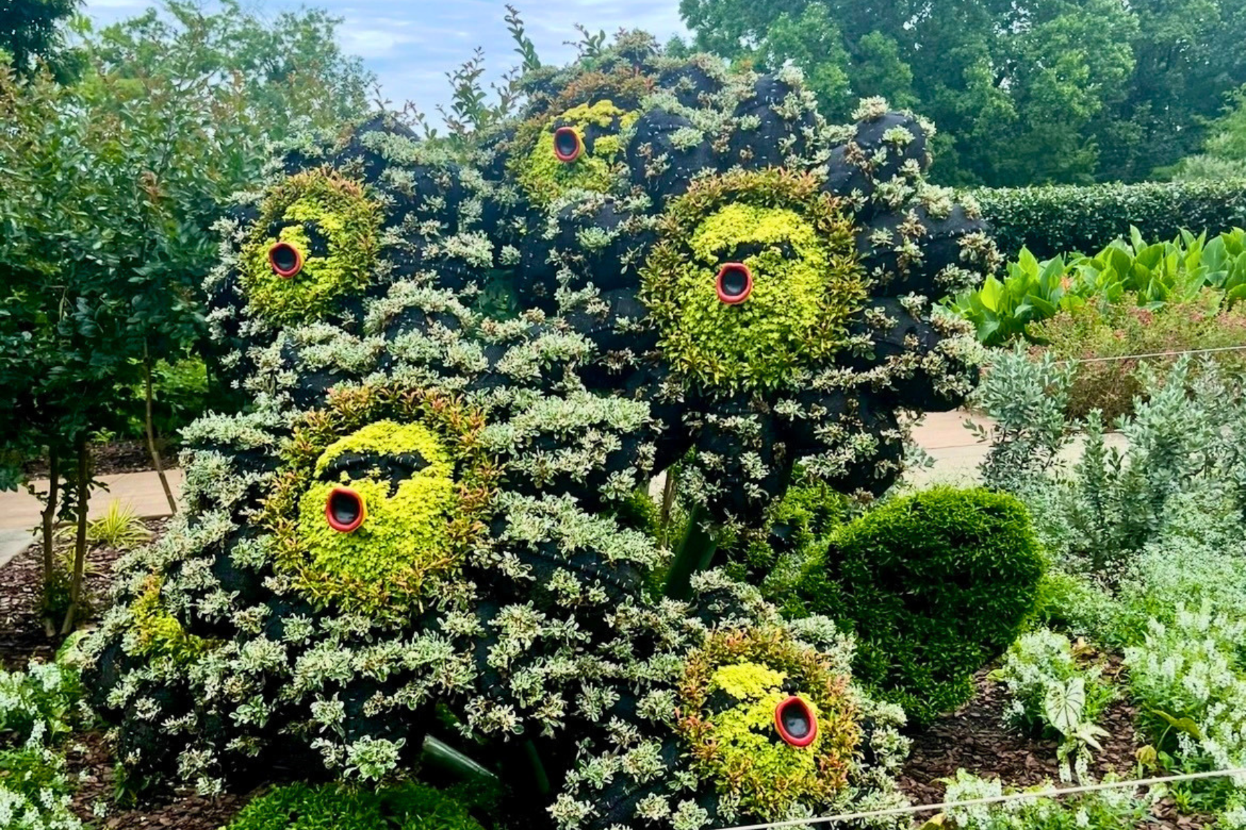 Alice and the Wonderland inspired topiary shaped like a lion with open mouth, decorated with small white and green plants, surrounded by various green bushes and plants in a garden.