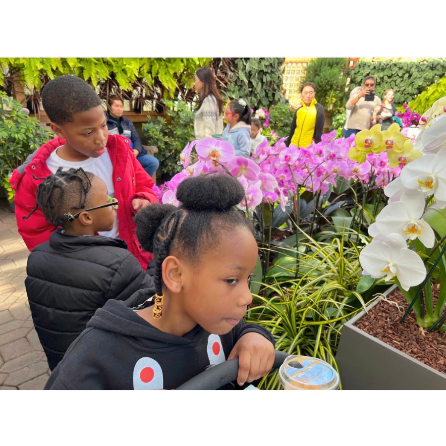 Children exploring nature and outdoor learning experiences together. They are observing orchids at the Atlanta Botanical Garden.