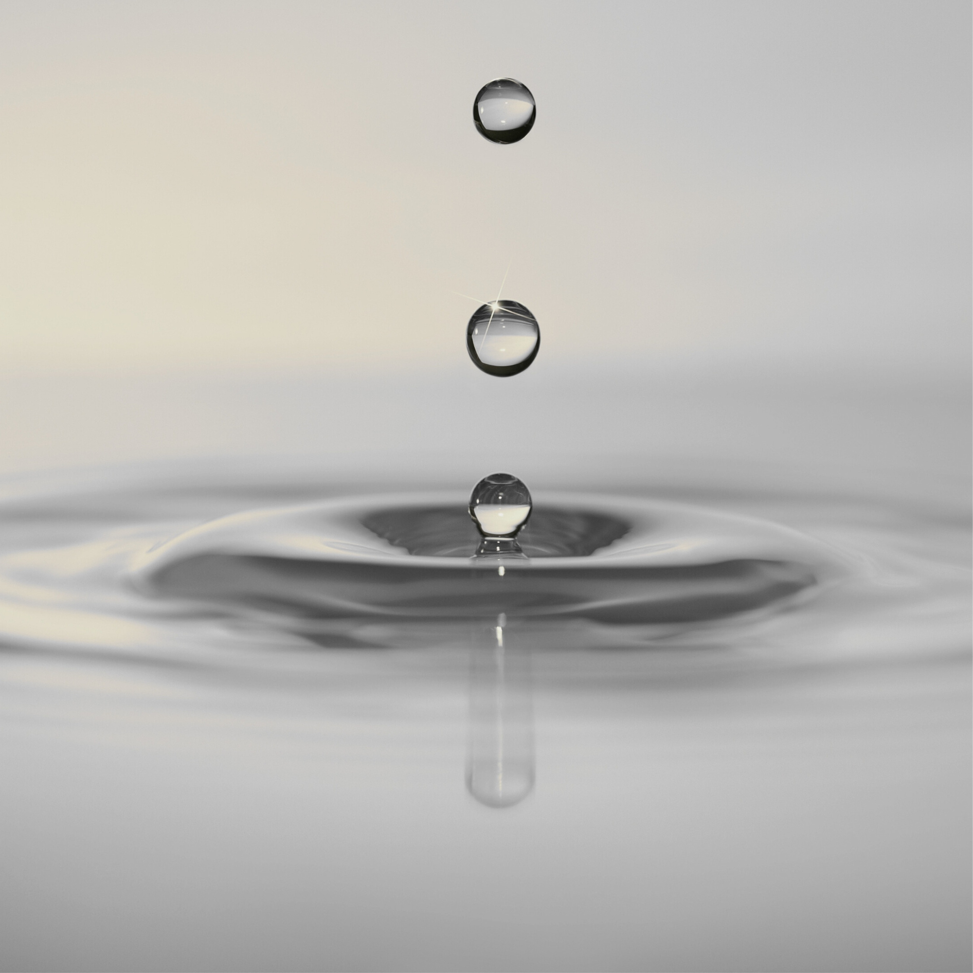 Why Drinking More Water Can Transform Your Energy, Focus, and Wellbeing