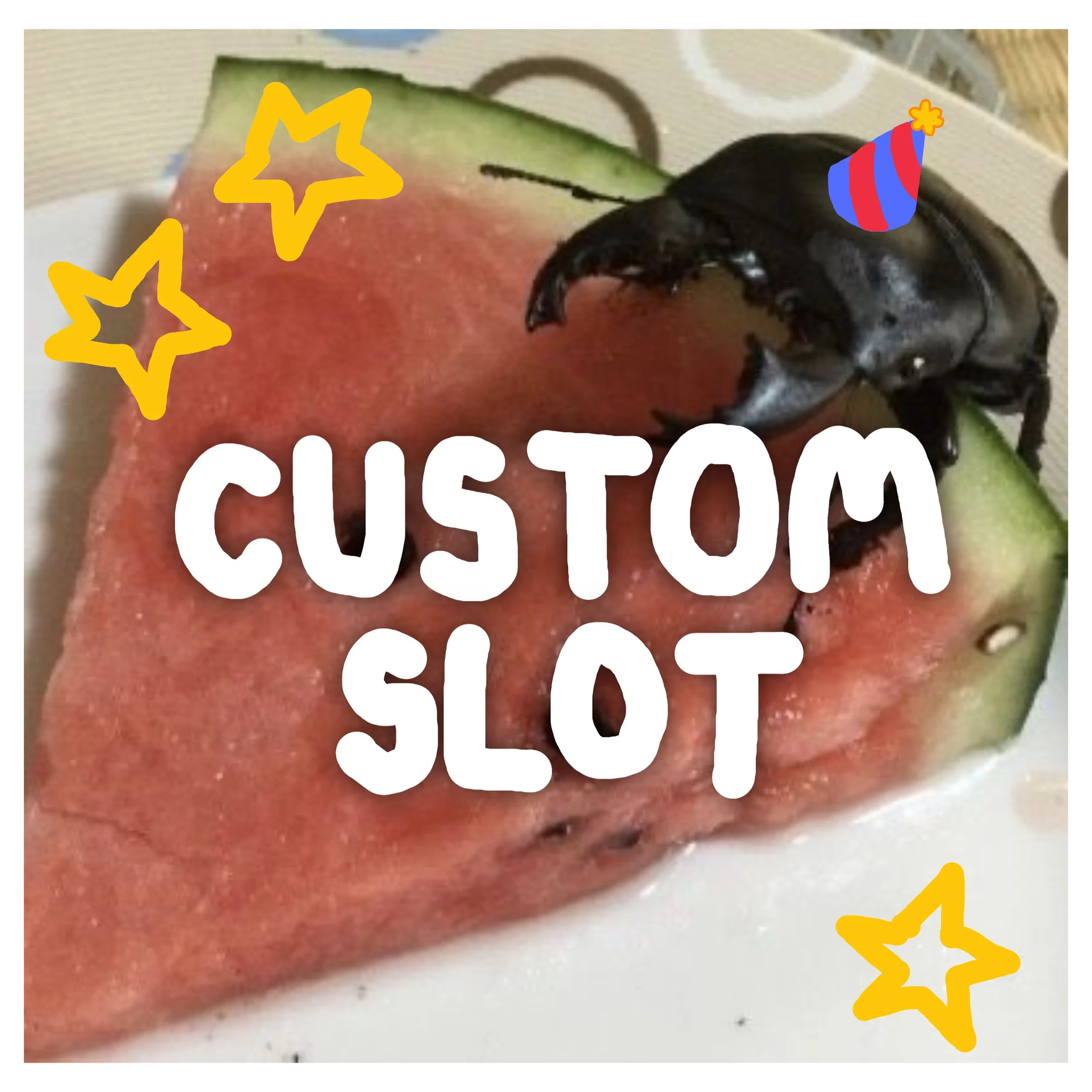 Custom Slot!