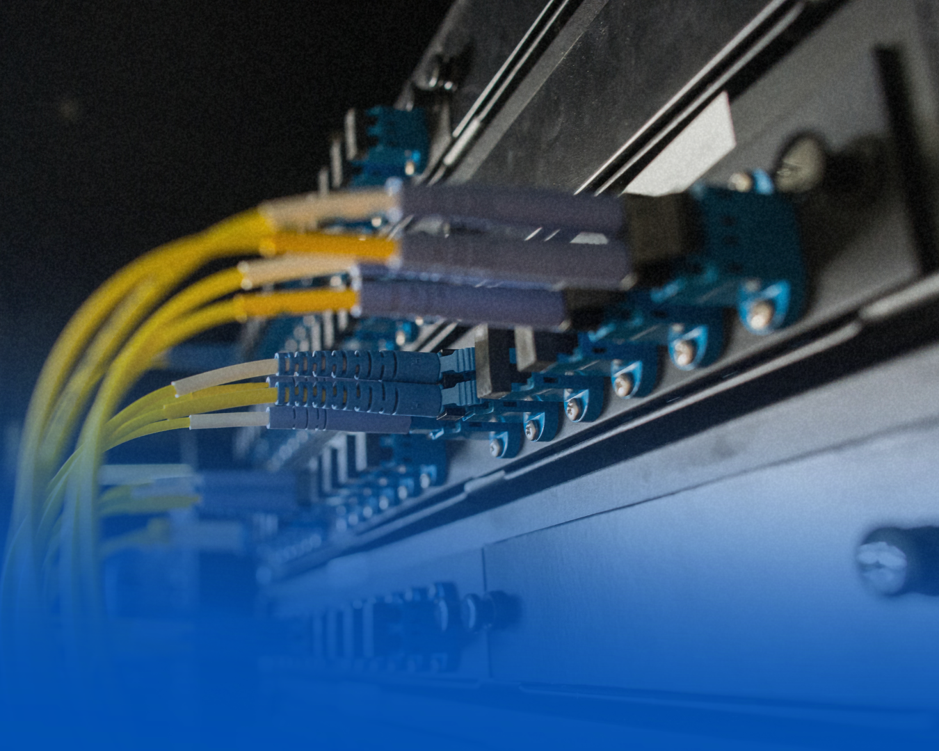 Cables y conectores en un panel de red de una infraestructura tecnológica.
