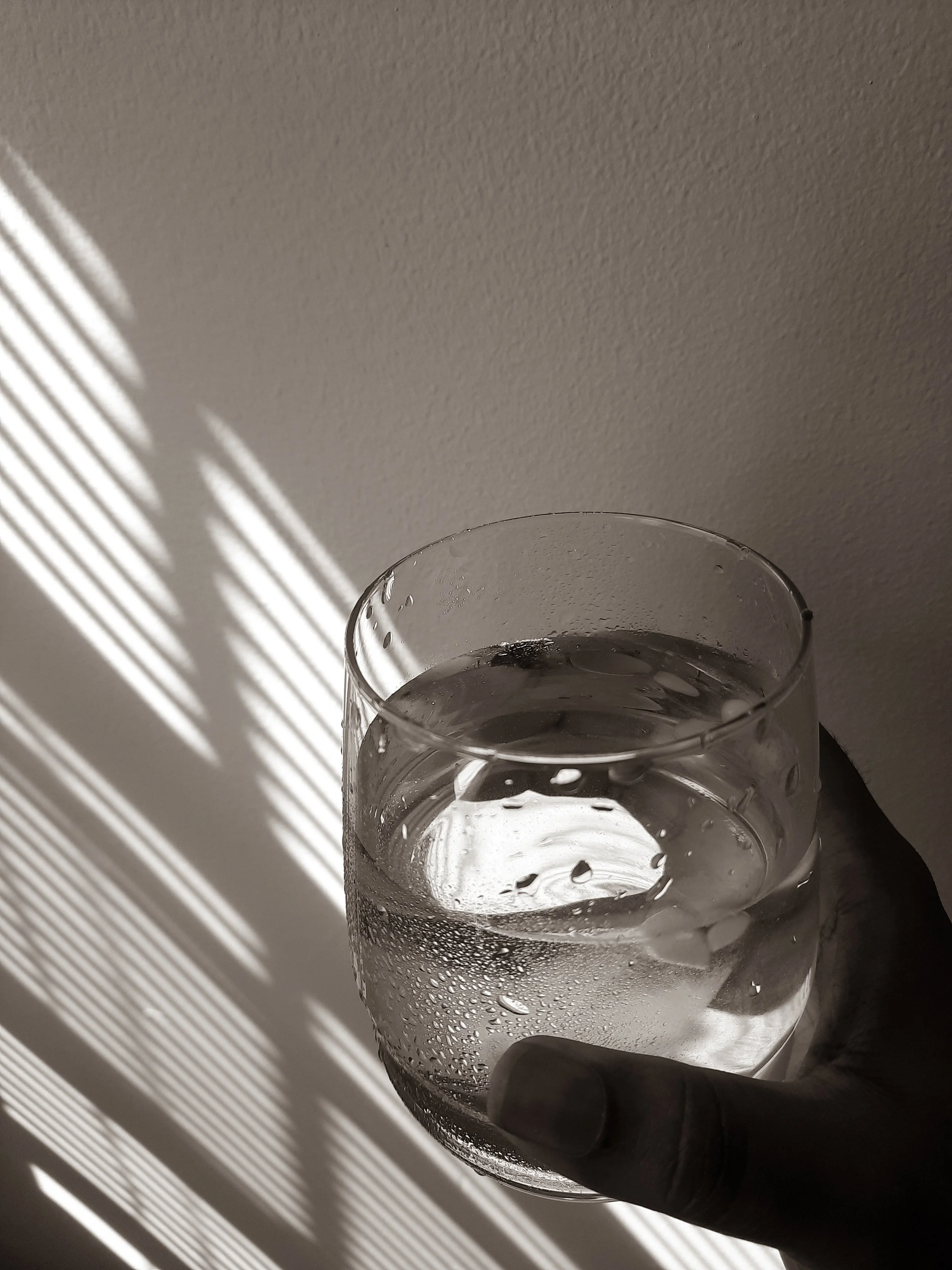 The Trello Life & Business Planner